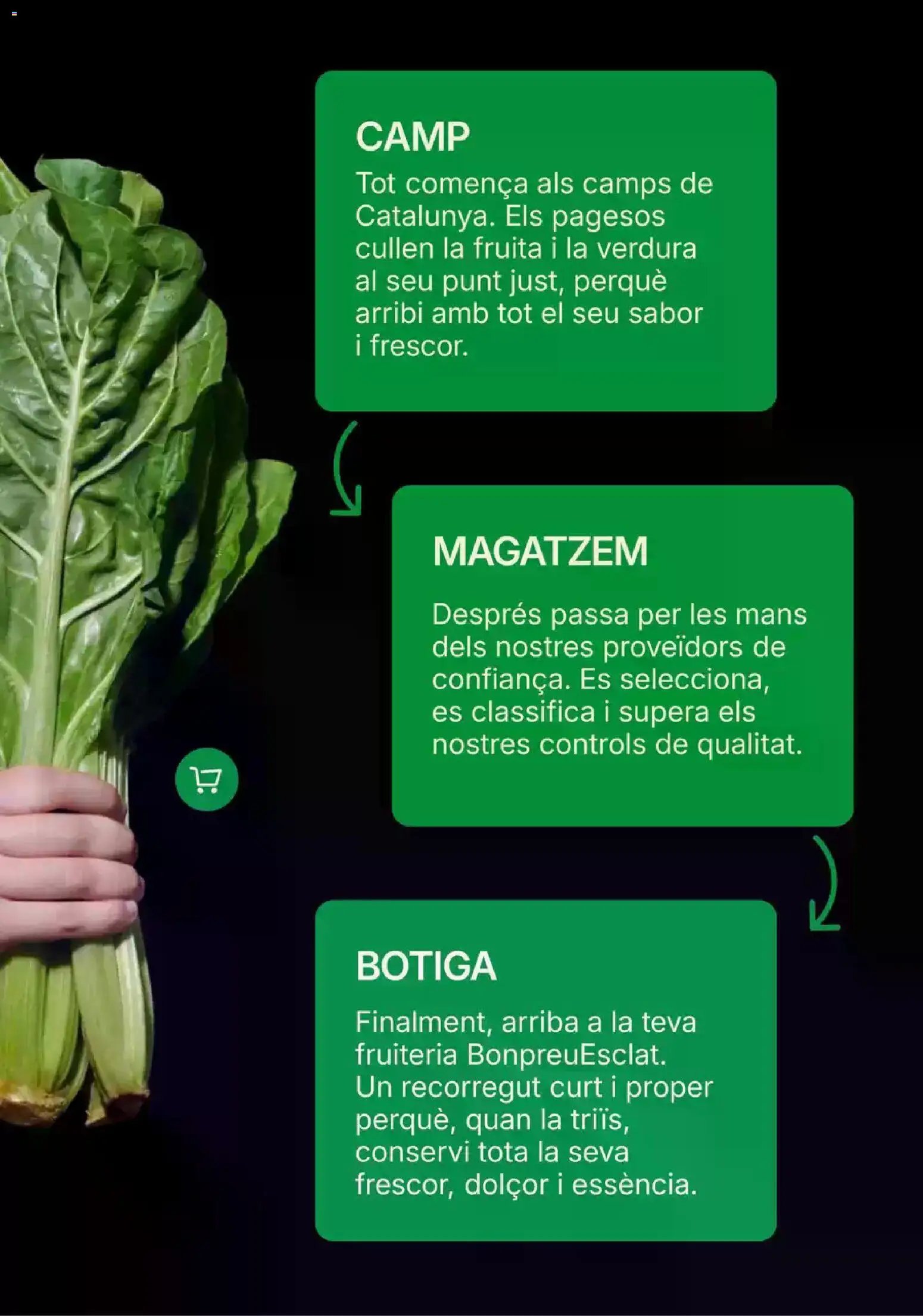 Bonpreu folleto