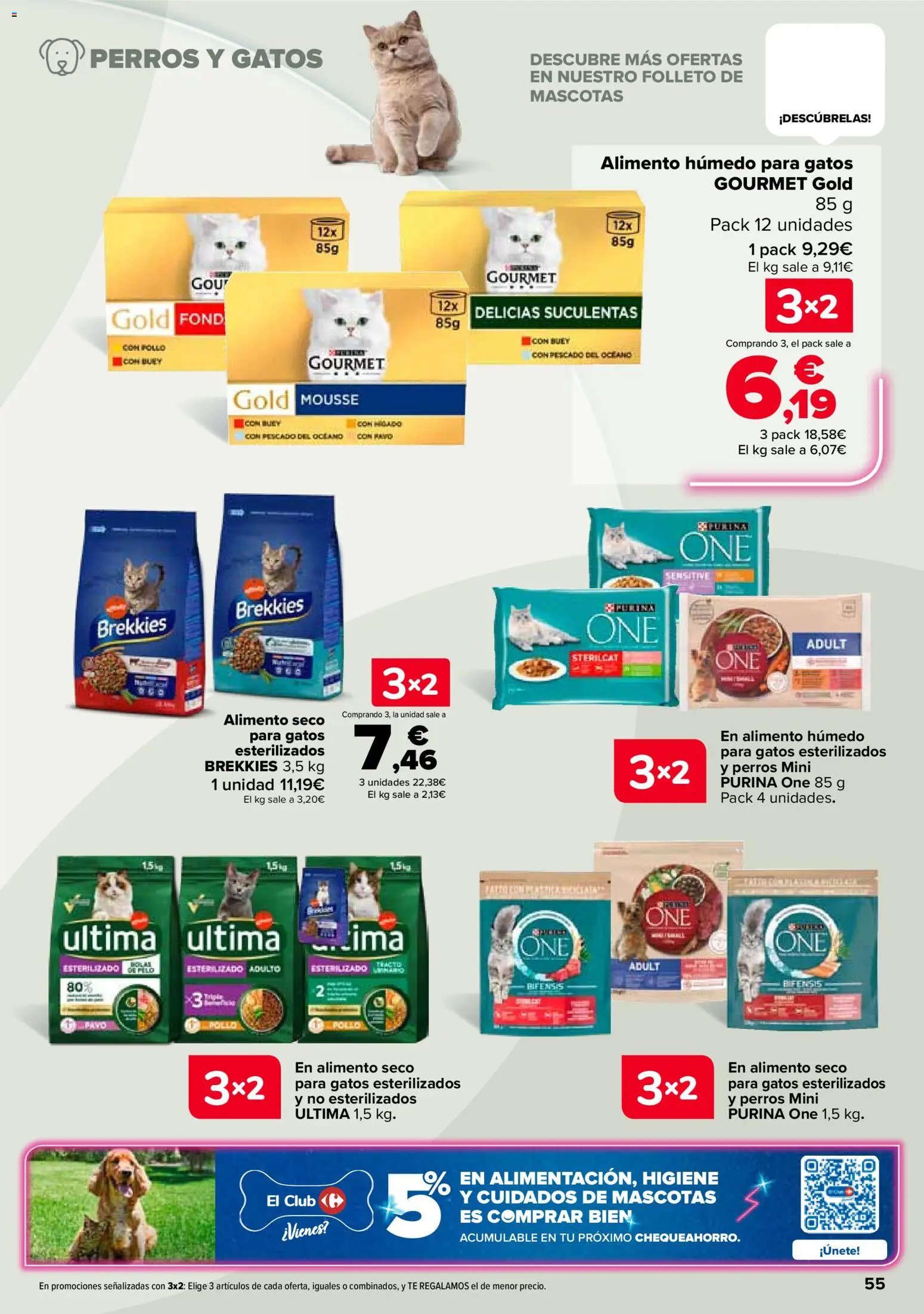 Carrefour folleto