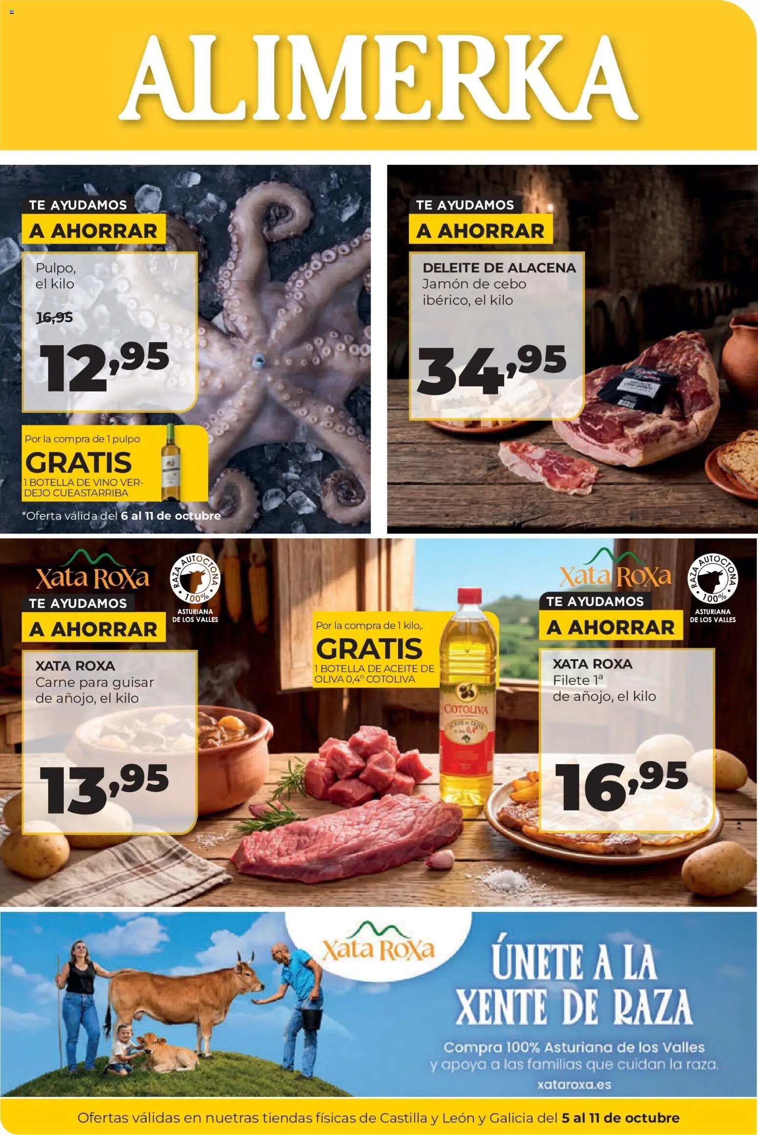 Alimerka folleto Castilla y León