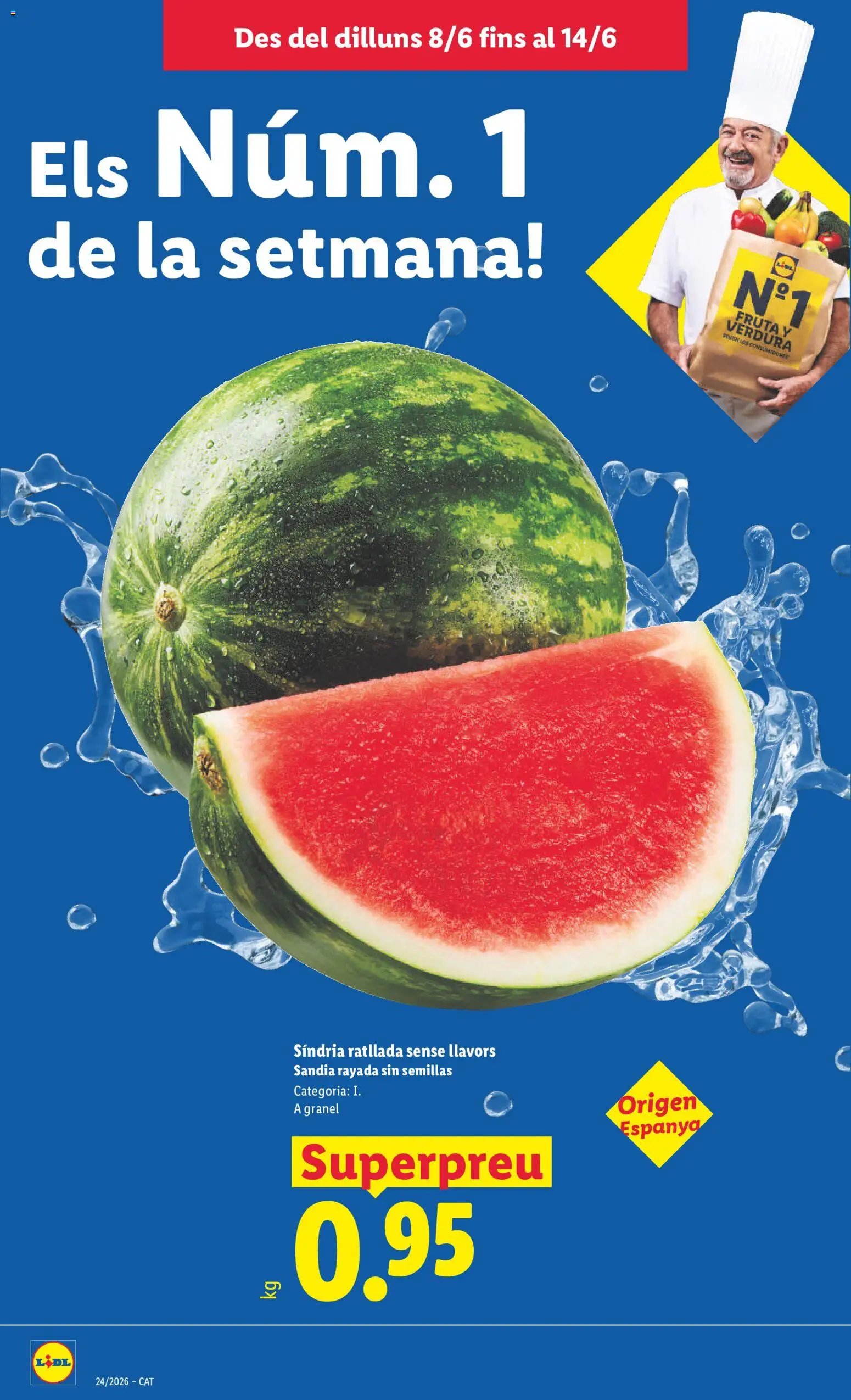 Lidl folleto