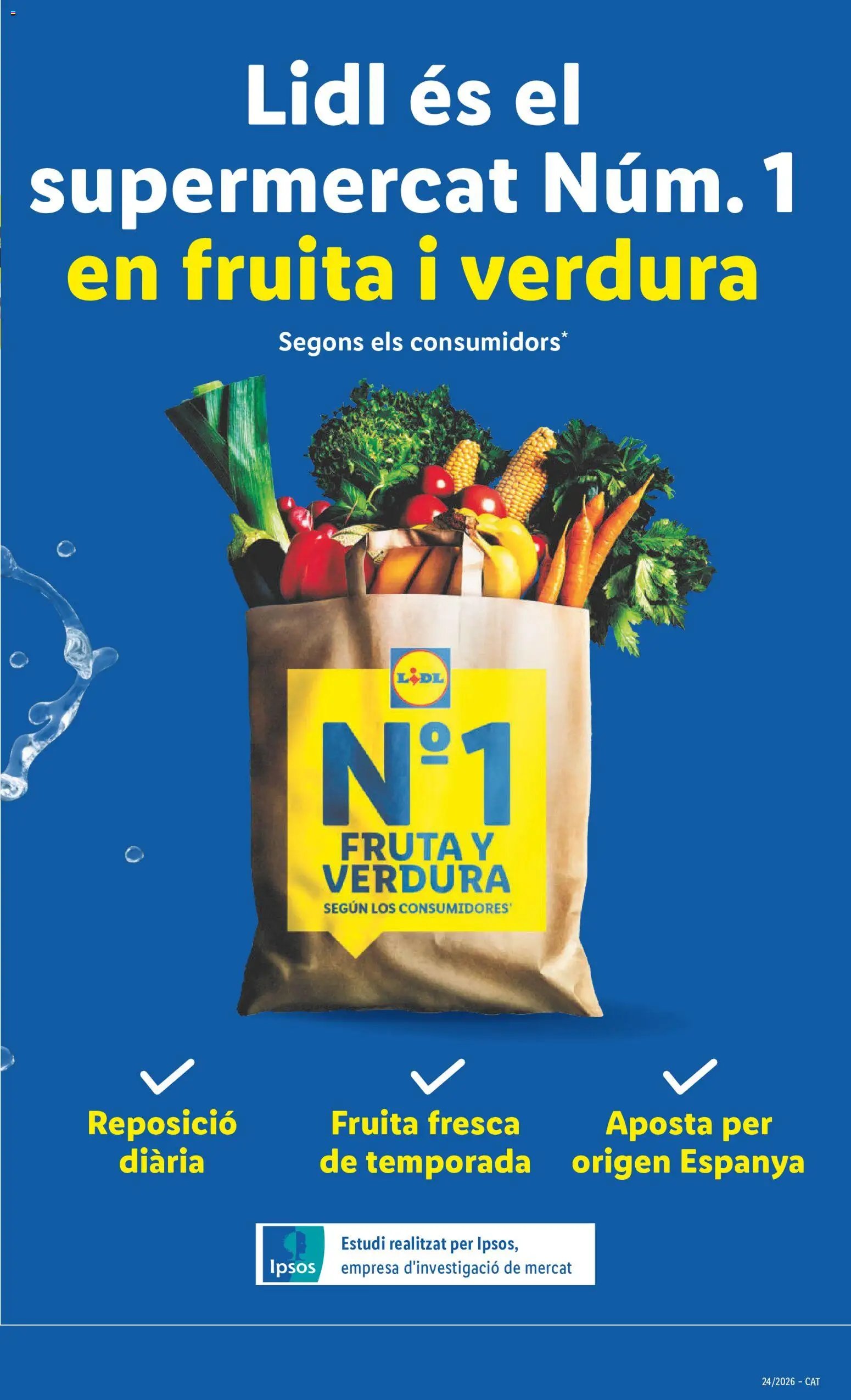 Lidl folleto