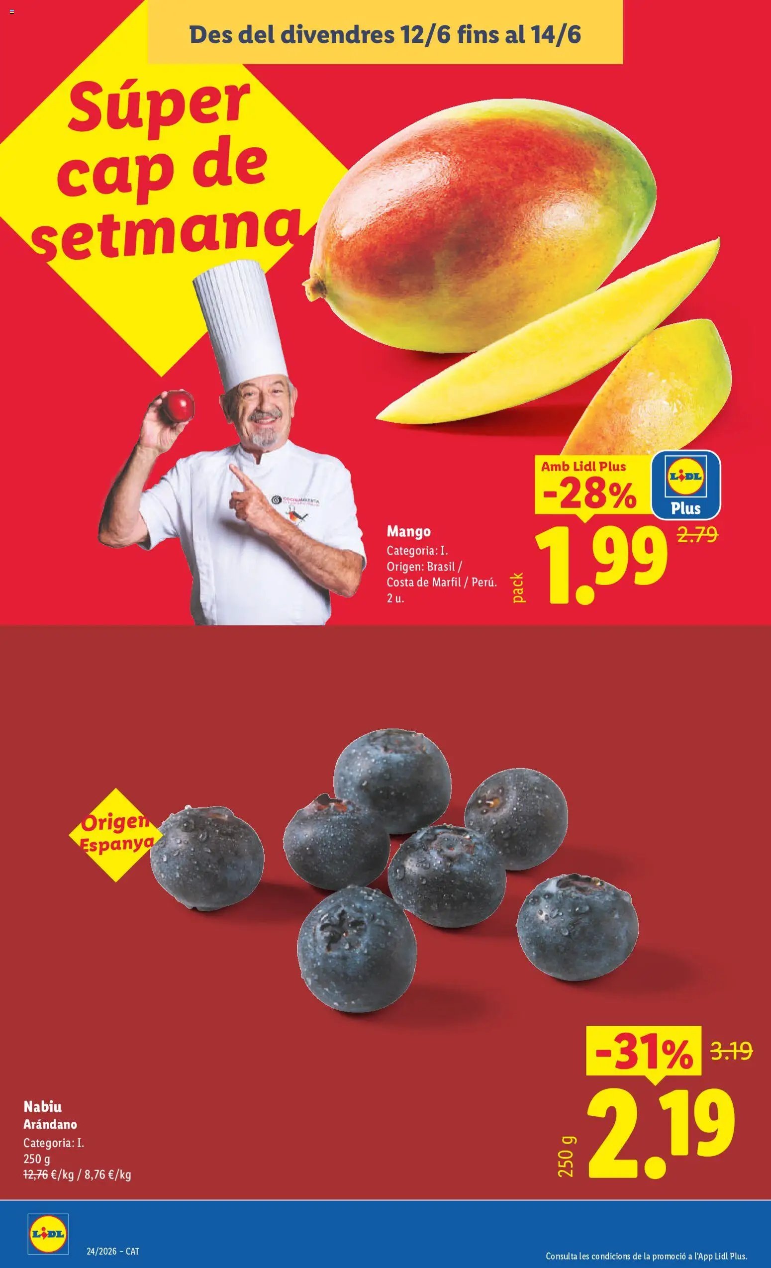 Lidl folleto