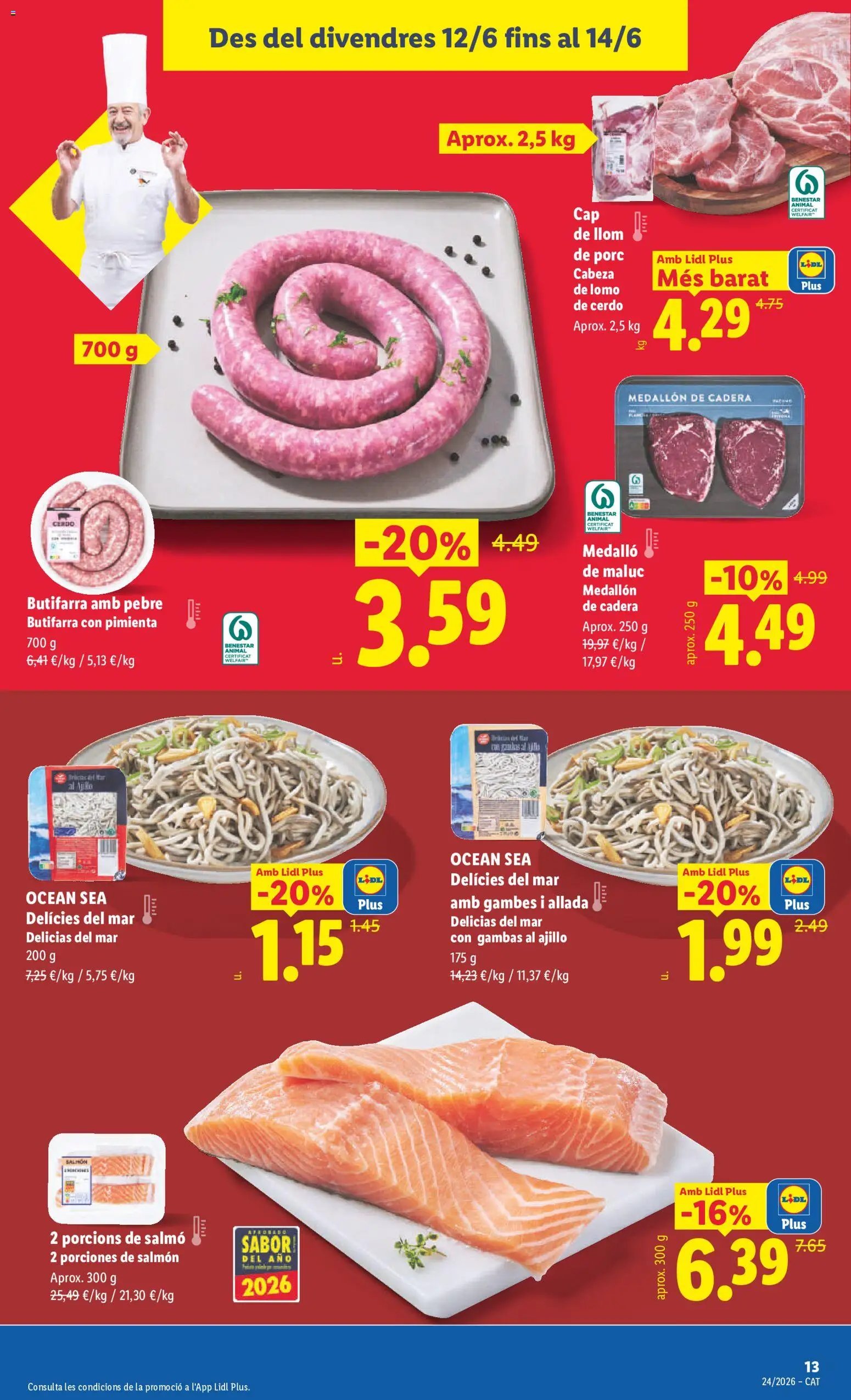 Lidl folleto