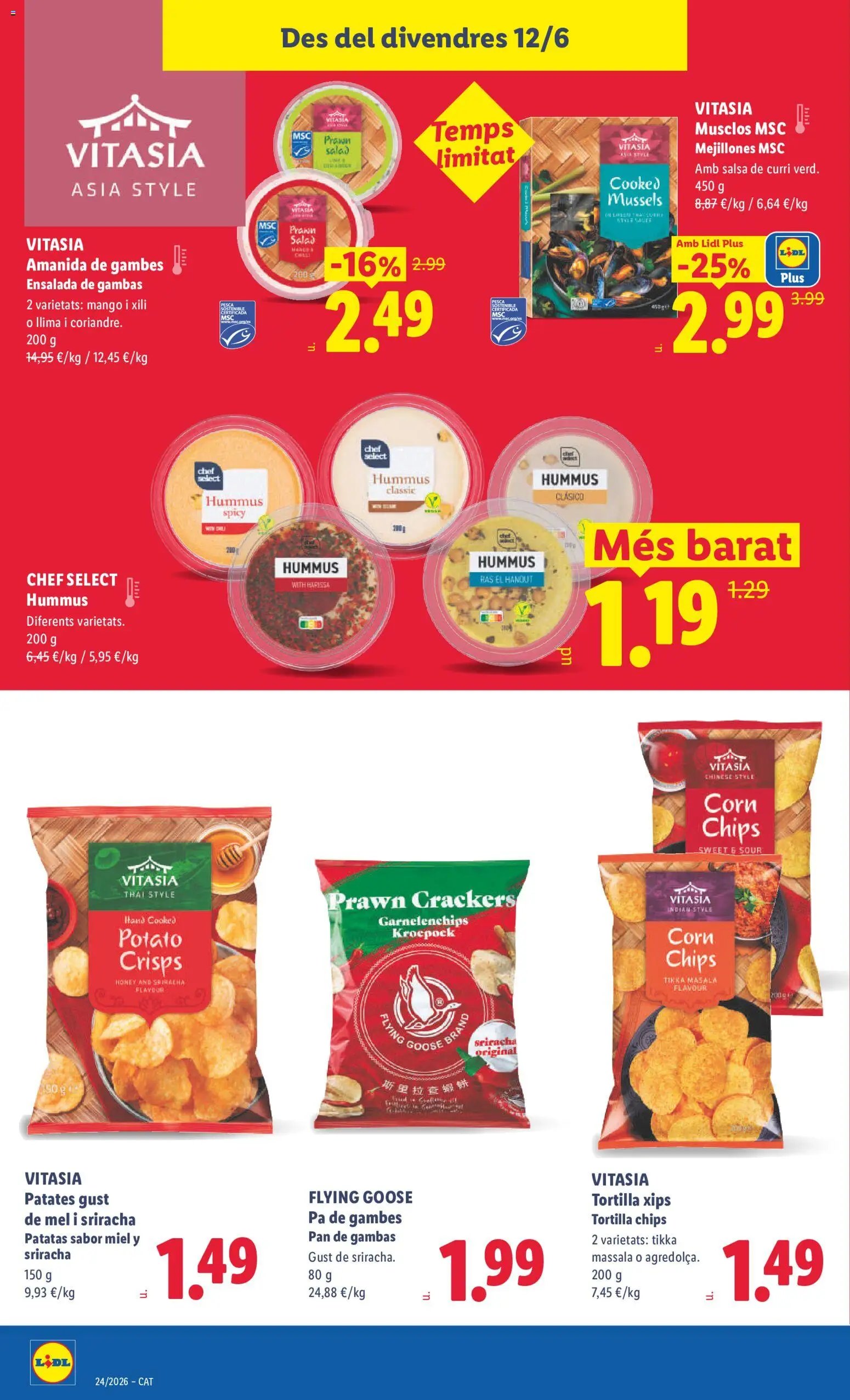 Lidl folleto