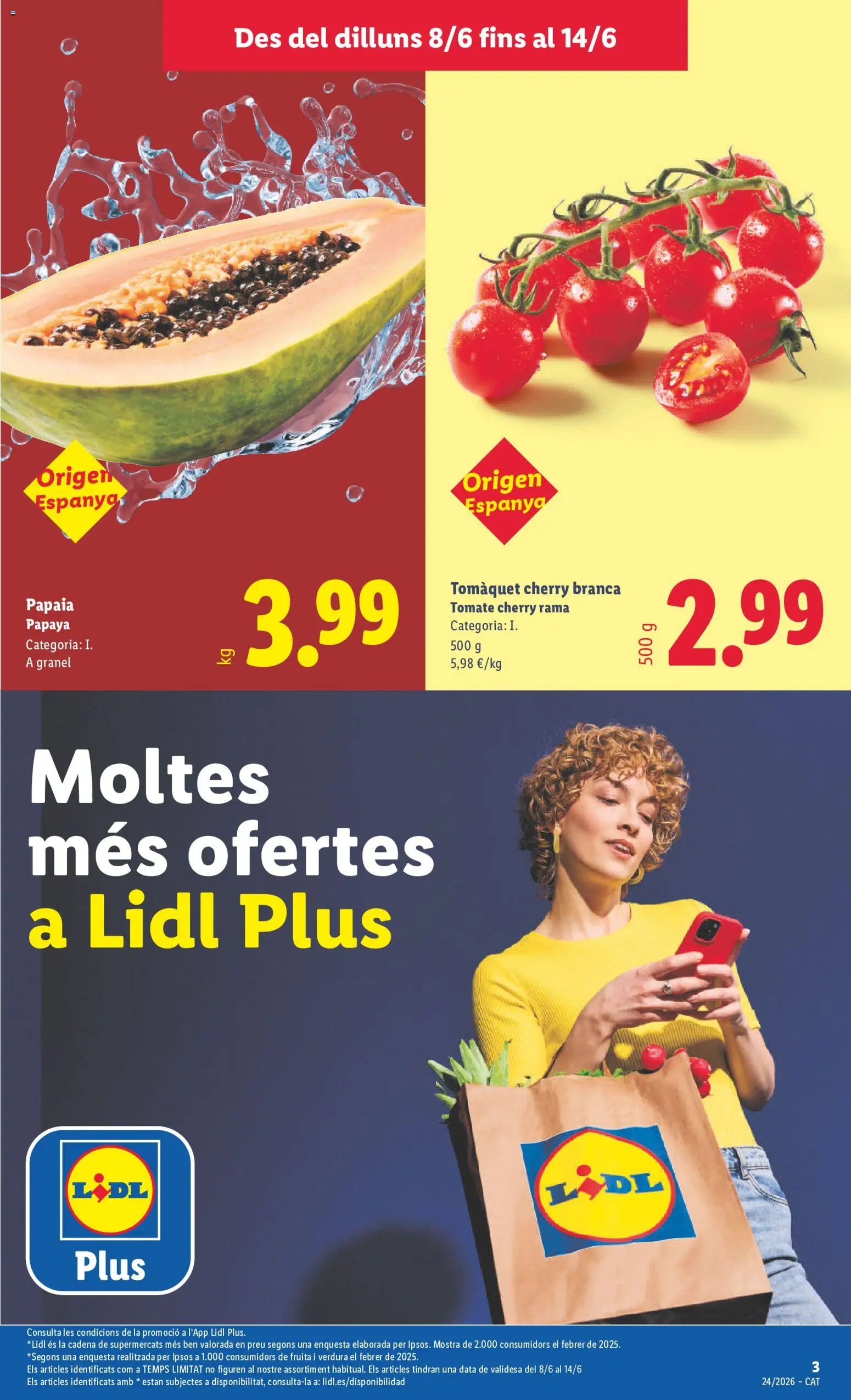 Lidl folleto