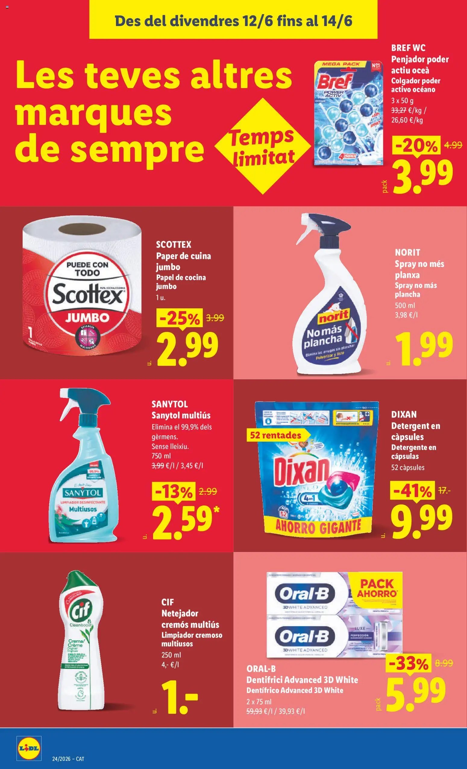 Lidl folleto