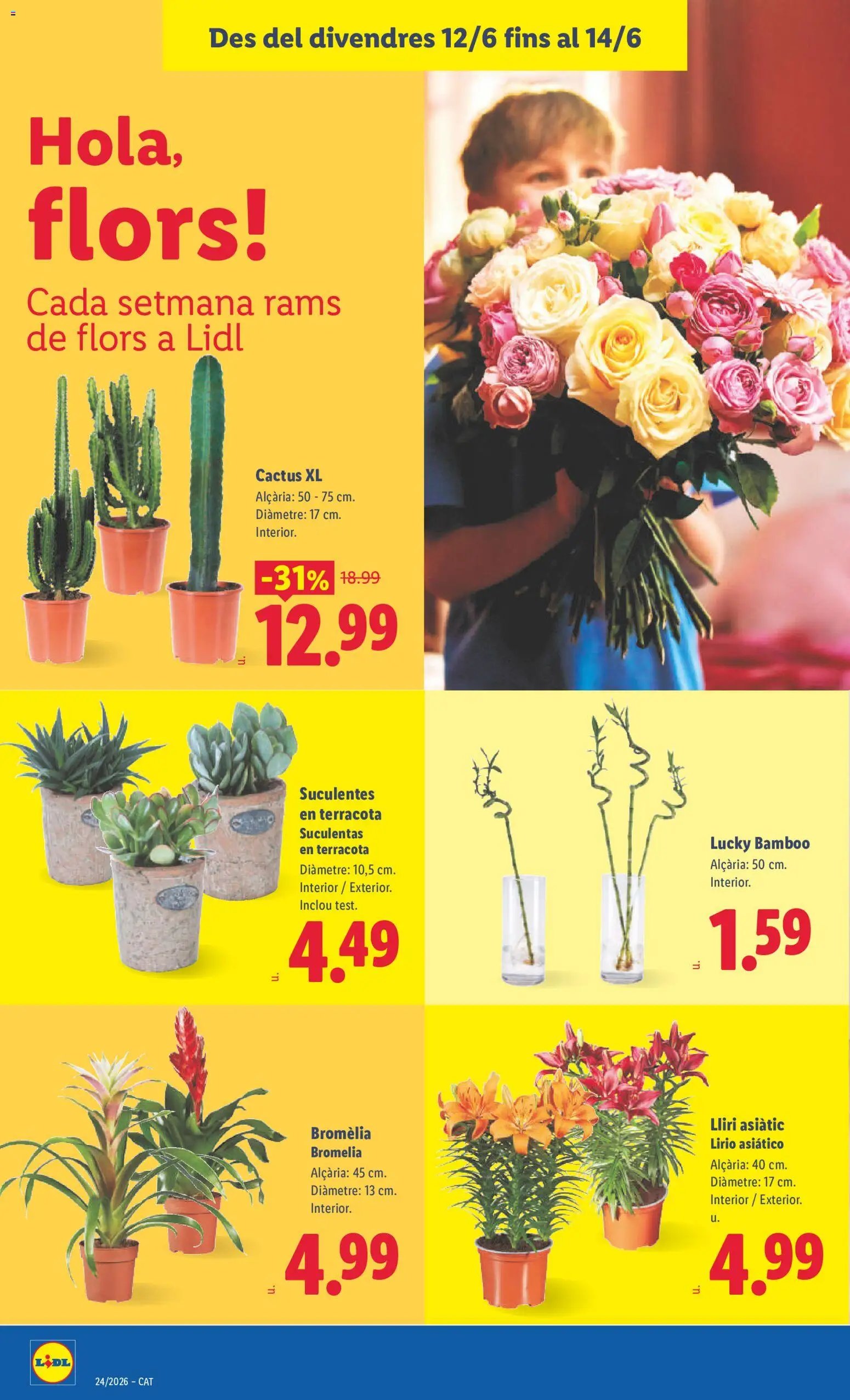 Lidl folleto