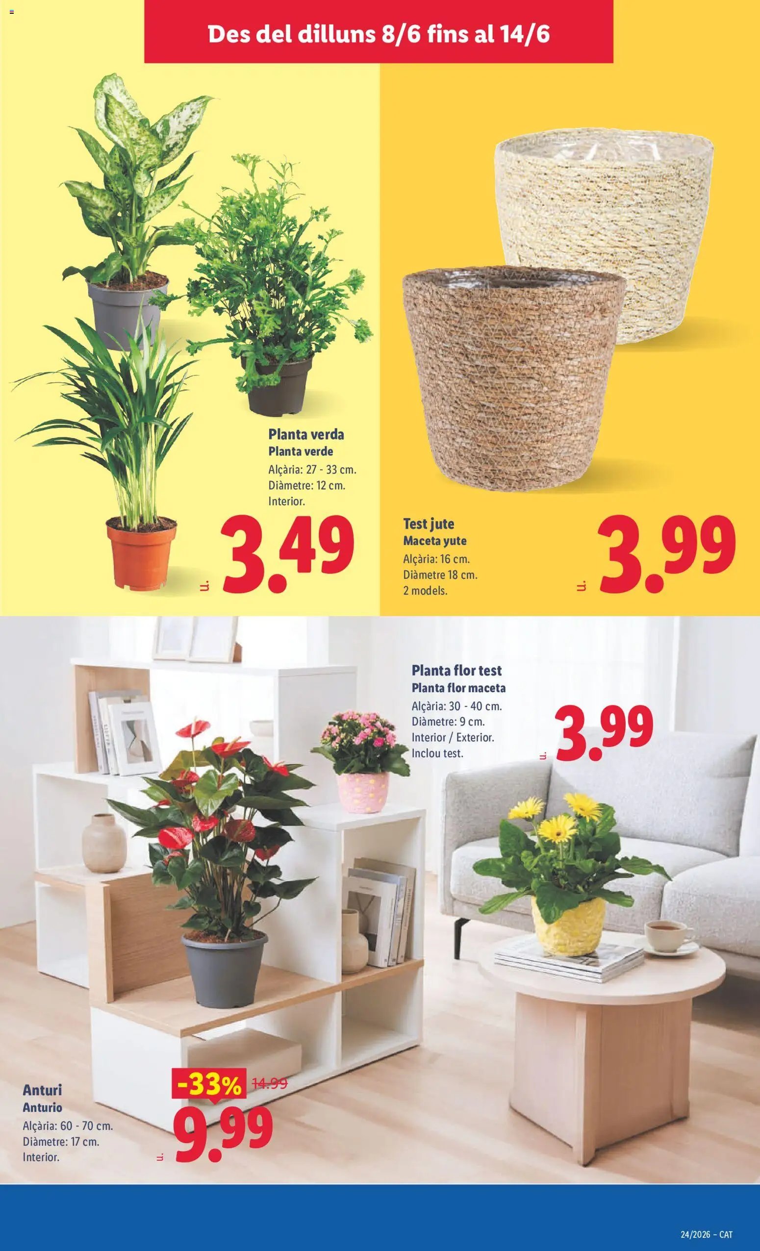 Lidl folleto