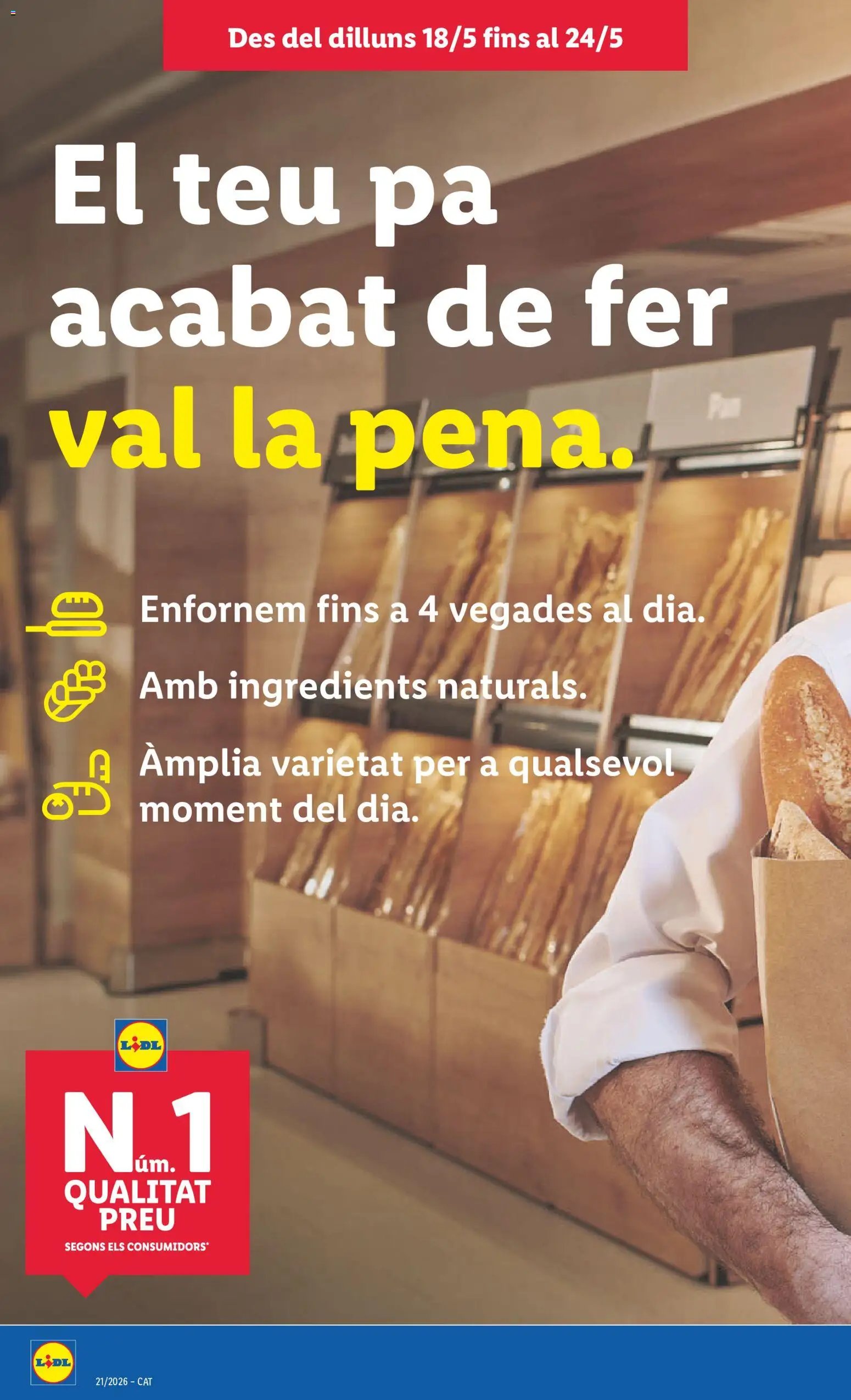 Lidl folleto