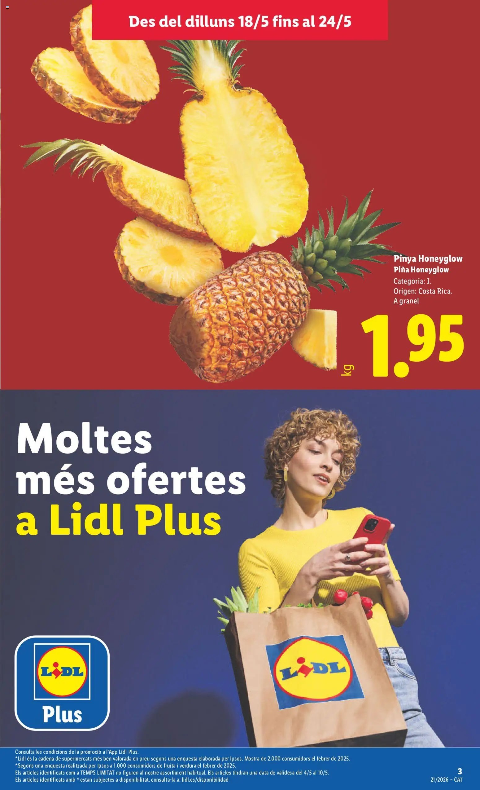 Lidl folleto
