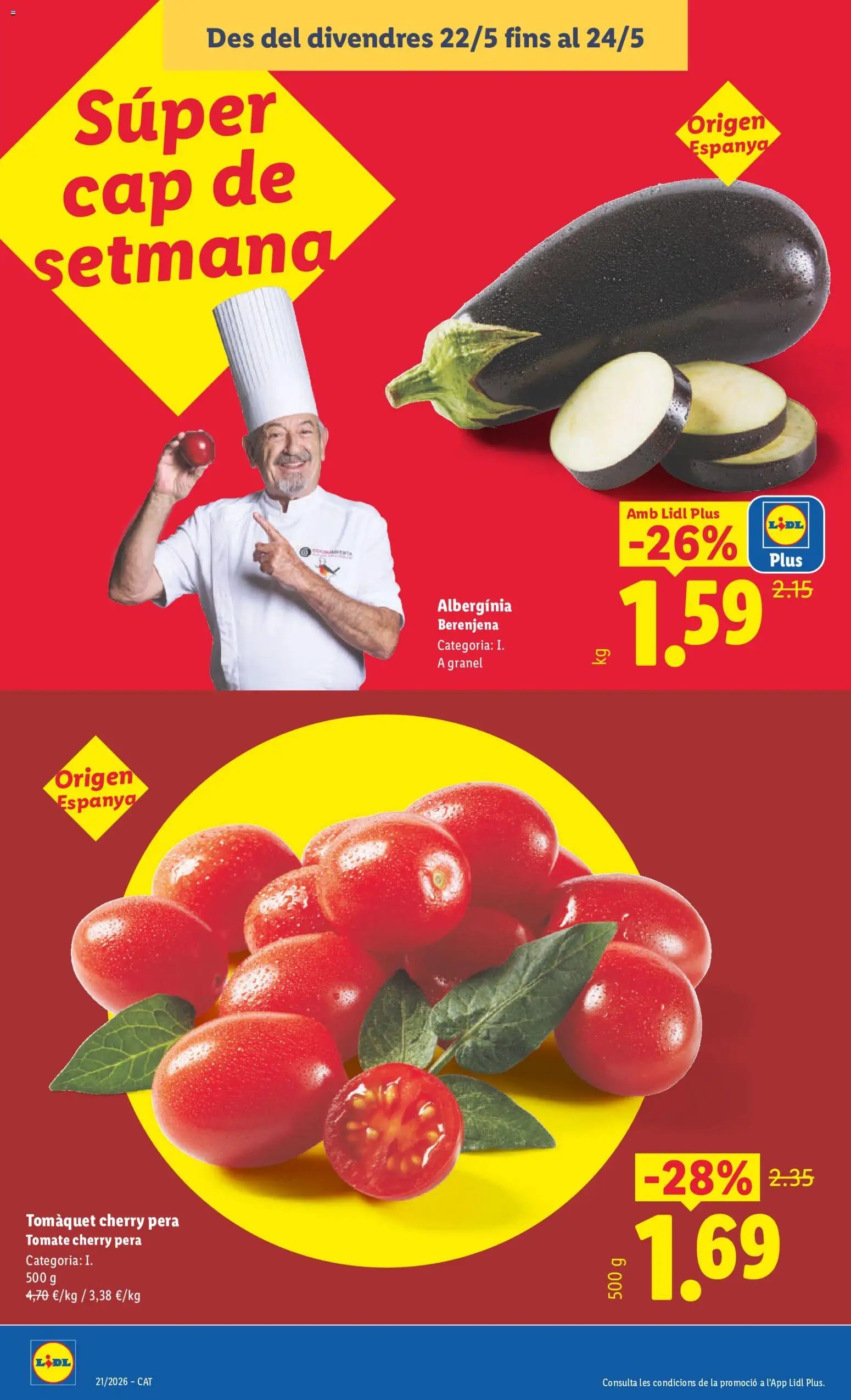 Lidl folleto
