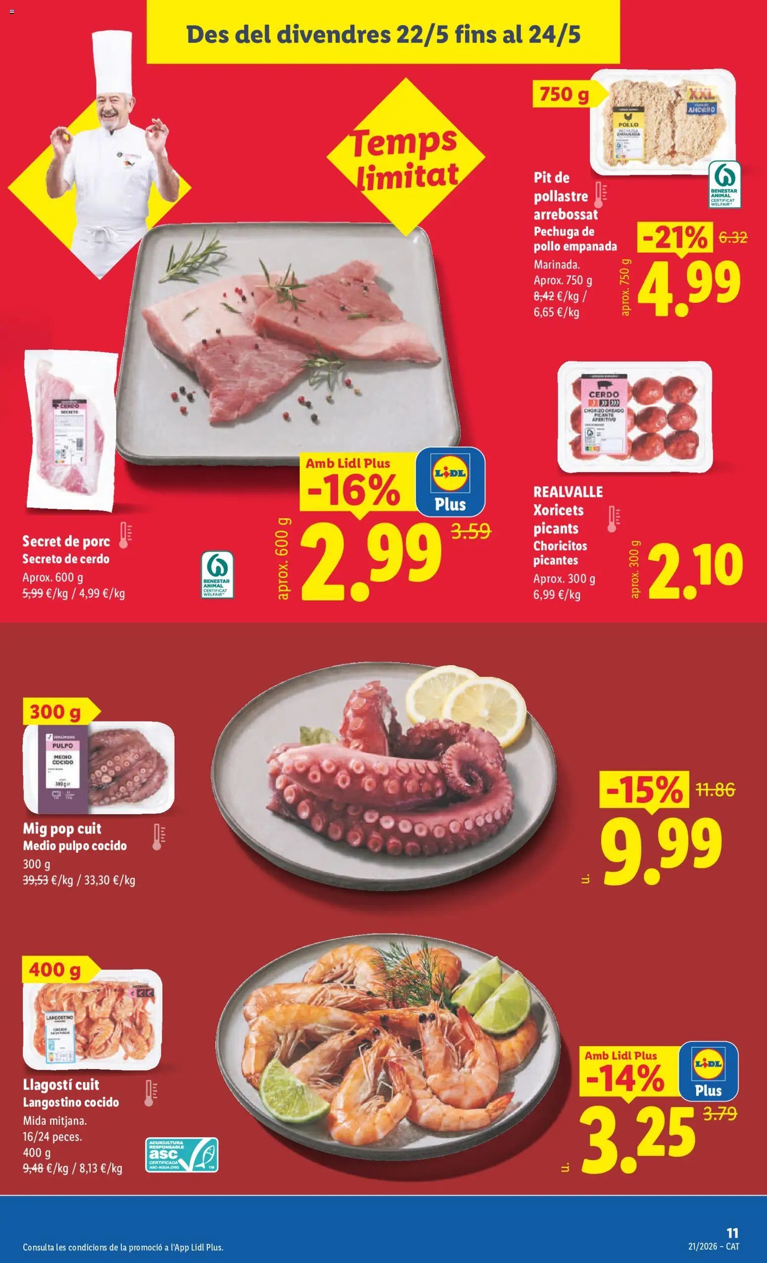 Lidl folleto