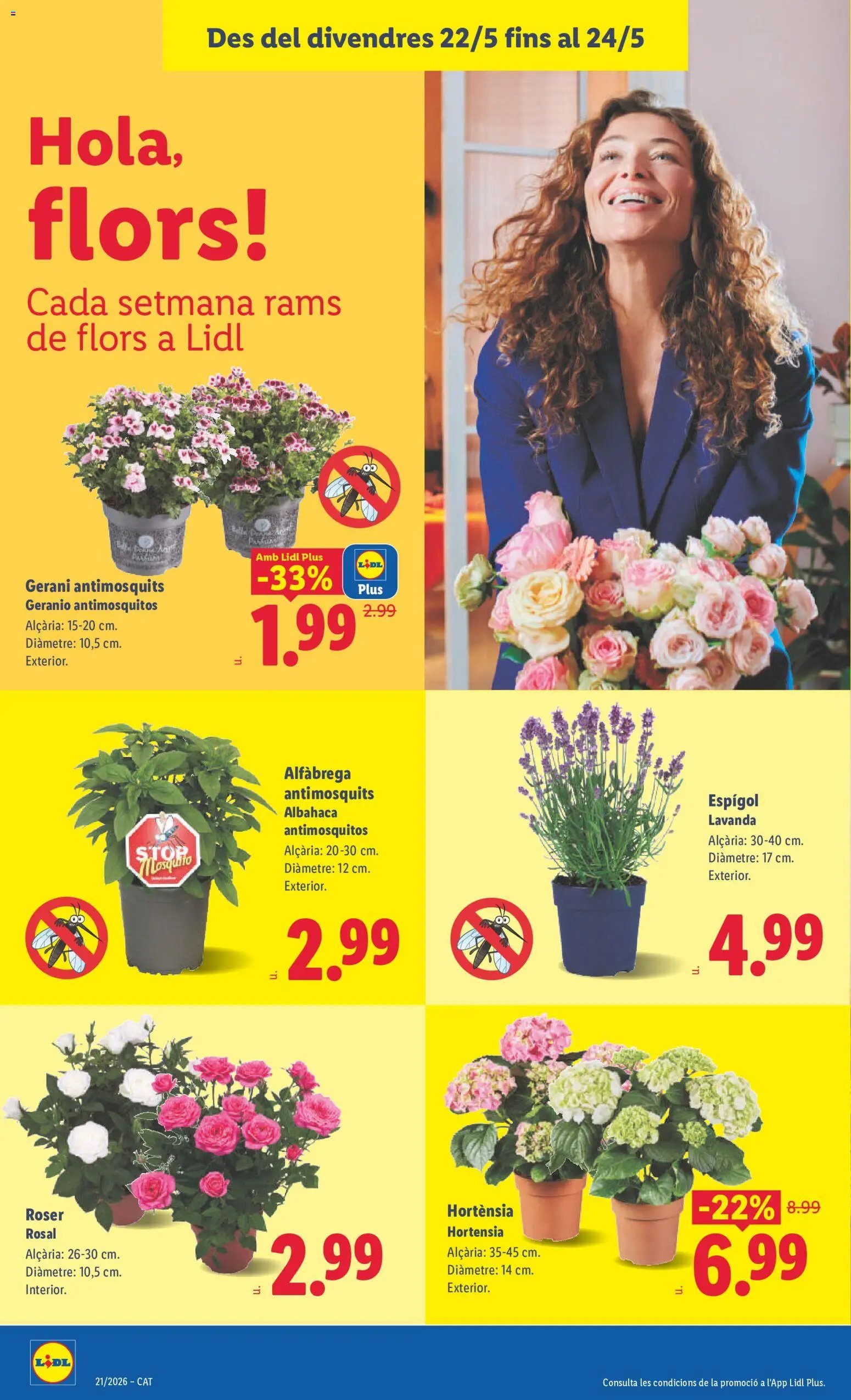 Lidl folleto