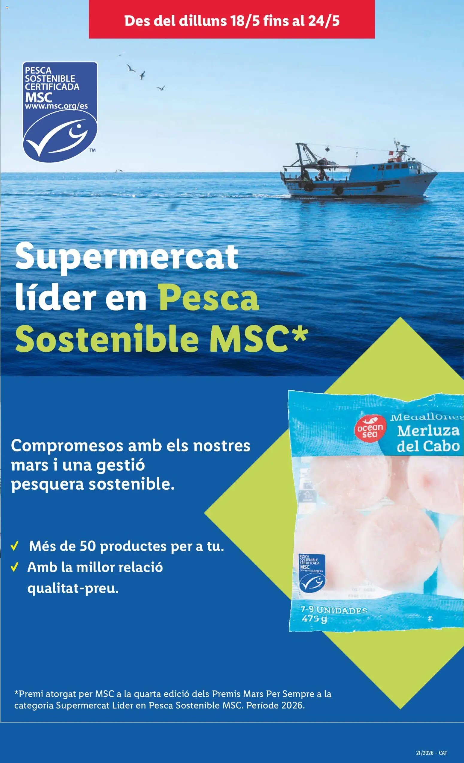 Lidl folleto