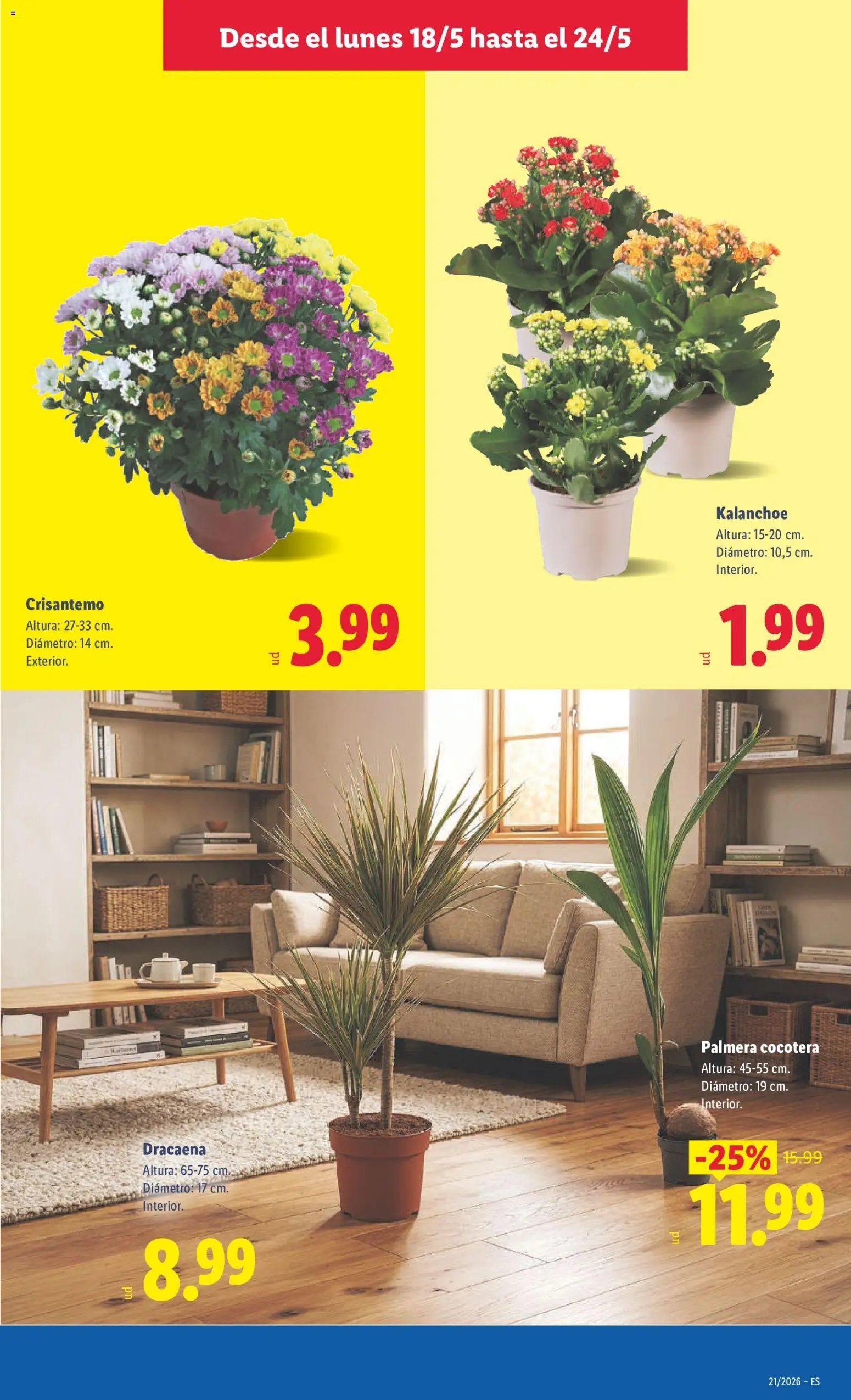 Lidl folleto