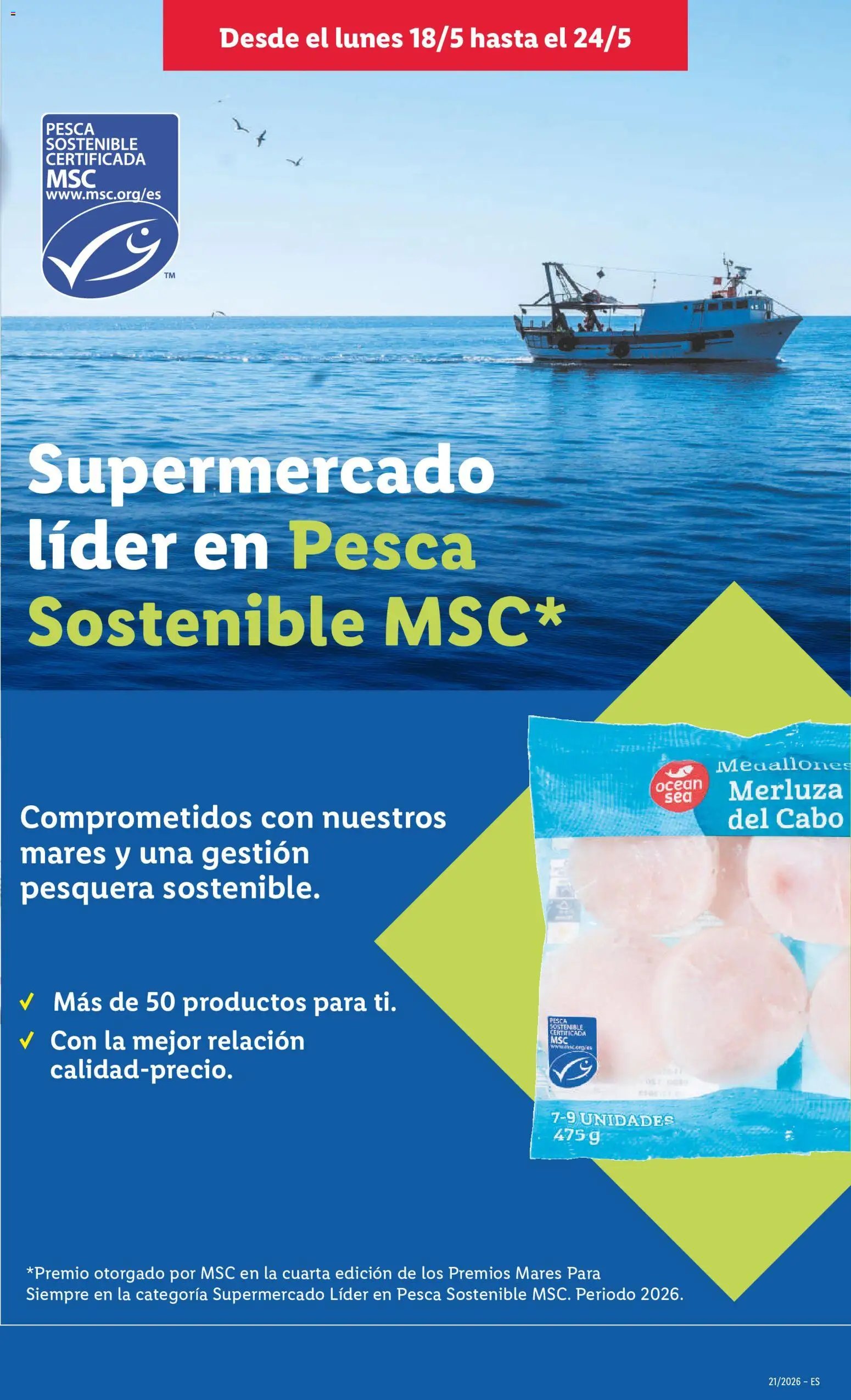 Lidl folleto