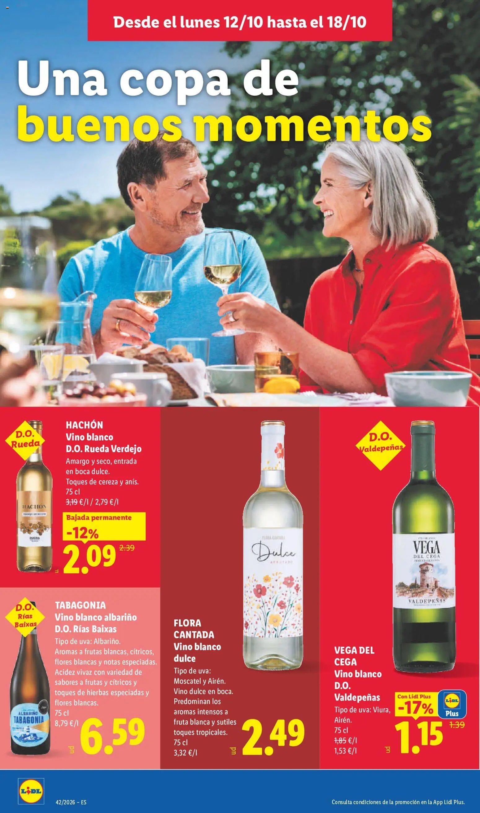 Lidl folleto