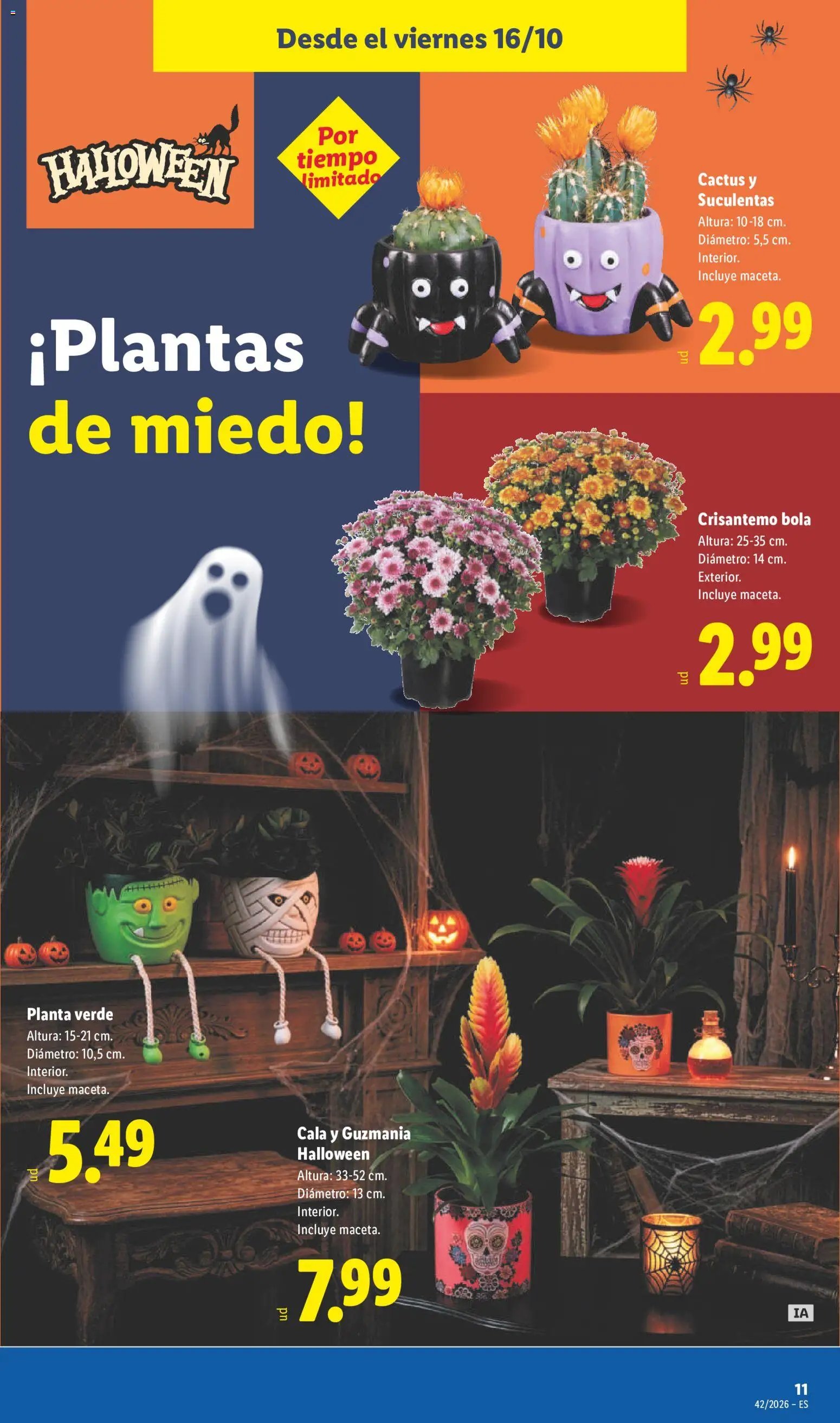 Lidl folleto