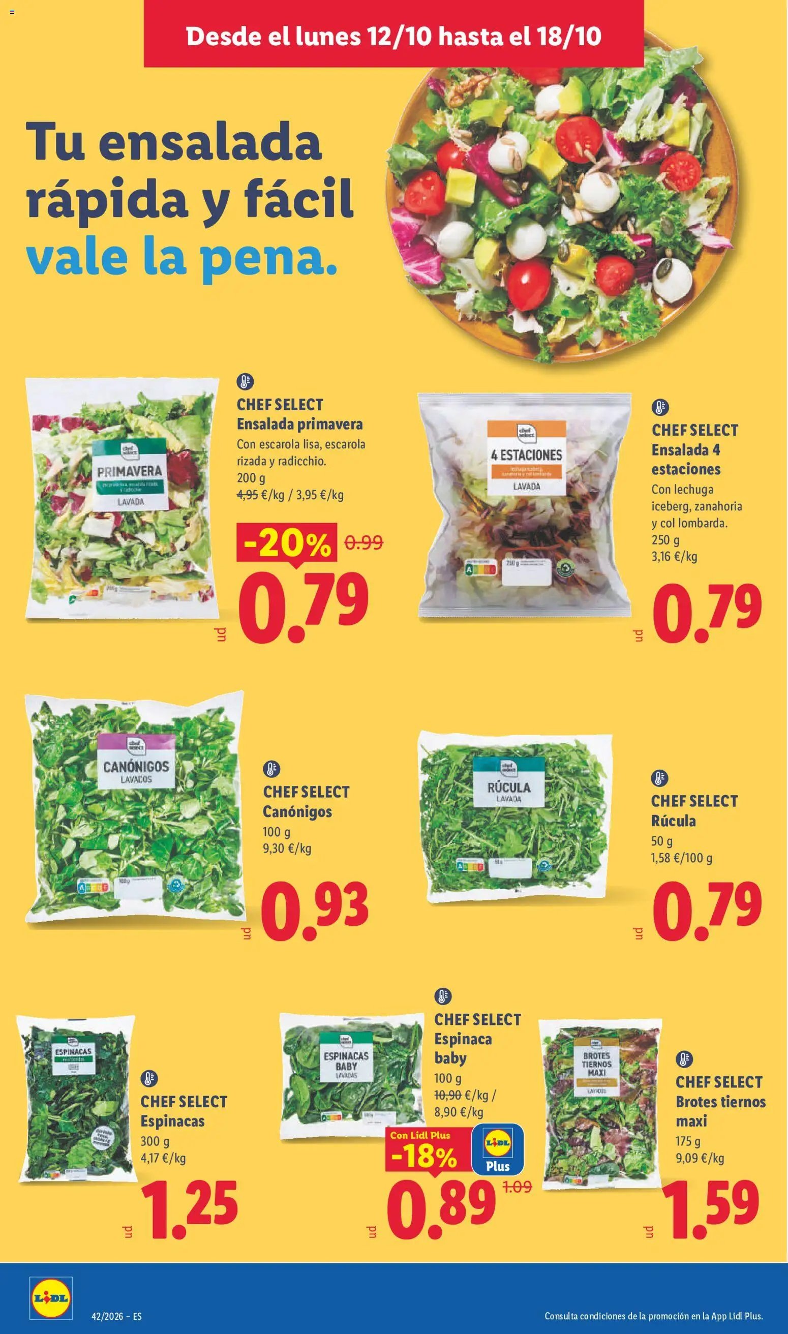 Lidl folleto