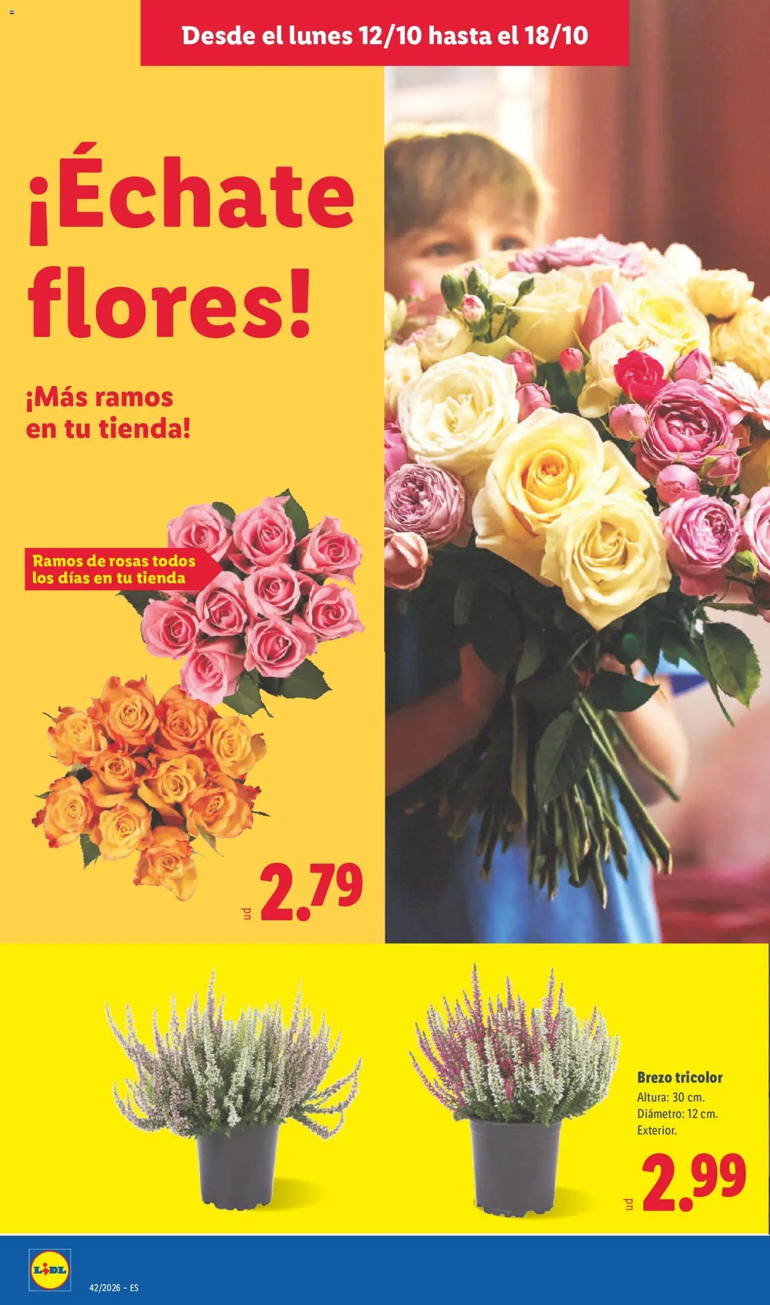 Lidl folleto