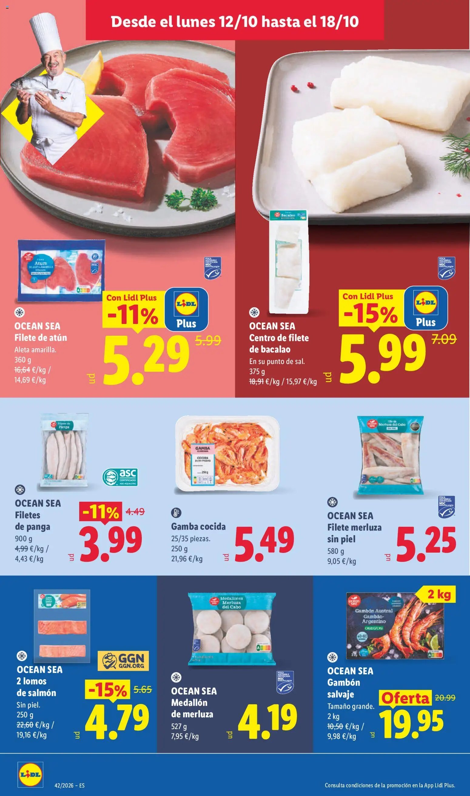 Lidl folleto