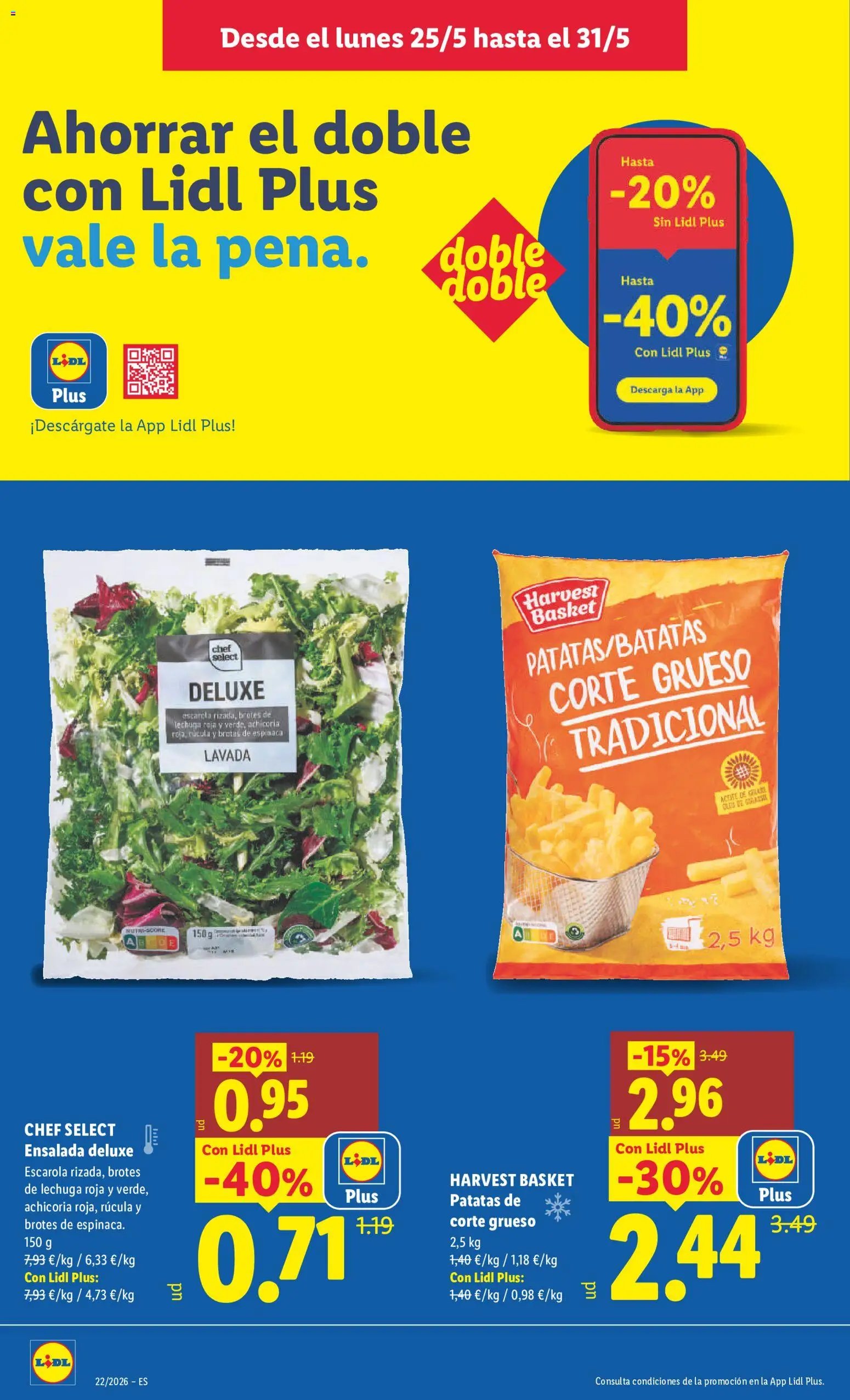 Lidl folleto