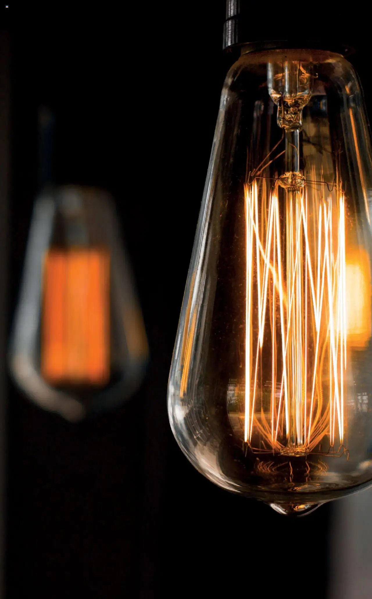 Bauhaus - ProService 