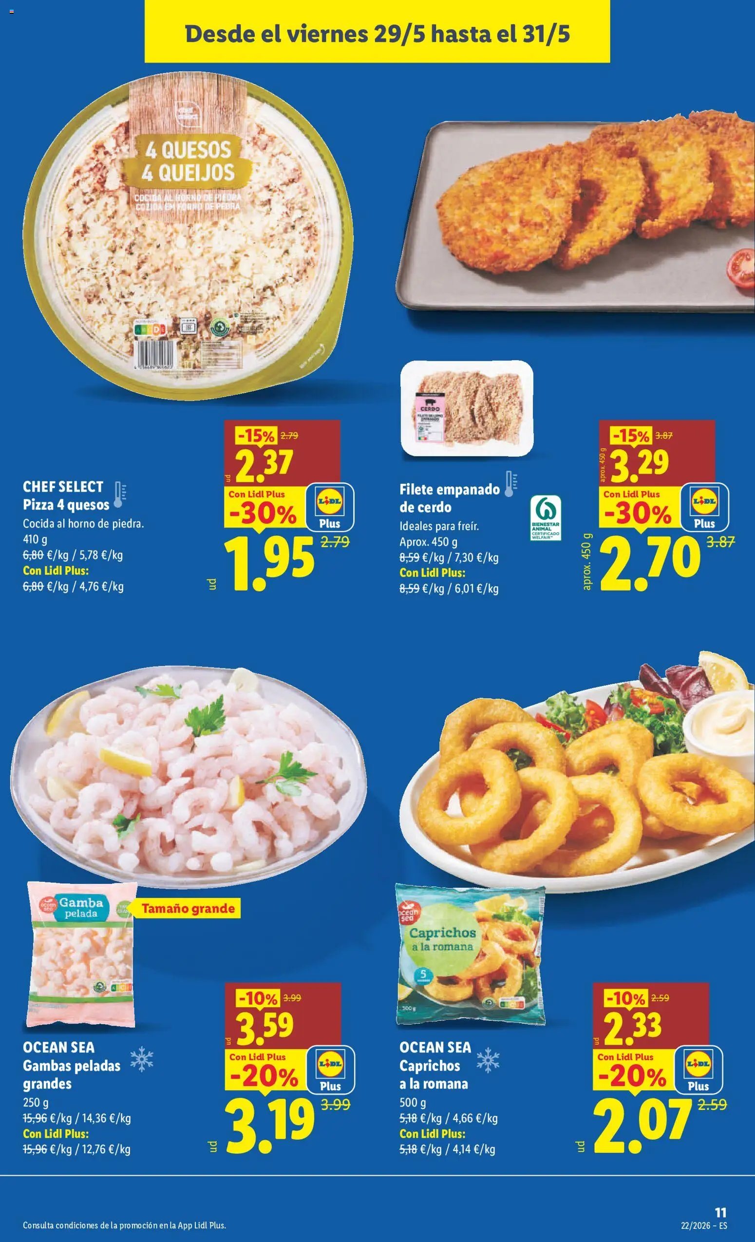 Lidl folleto