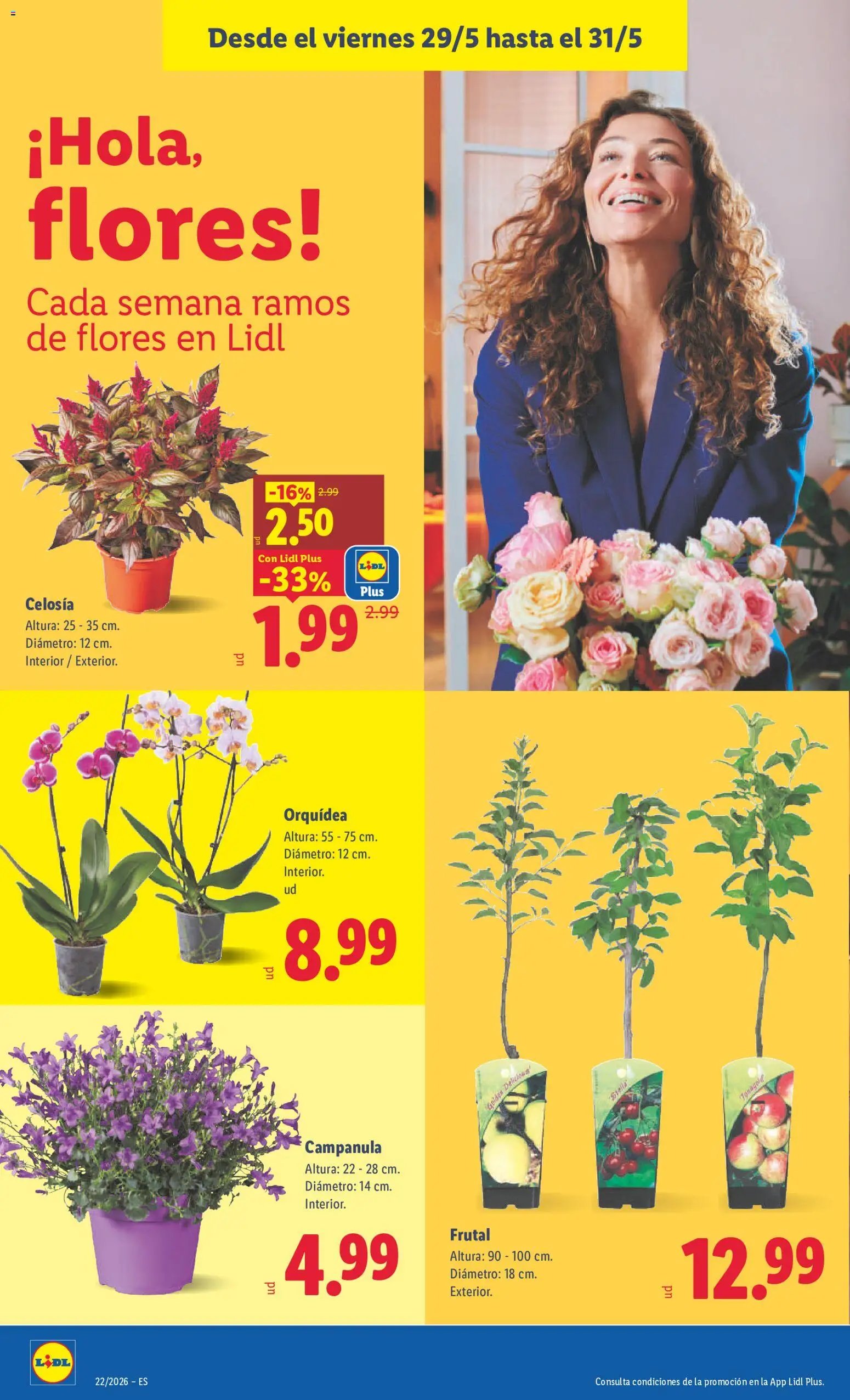 Lidl folleto