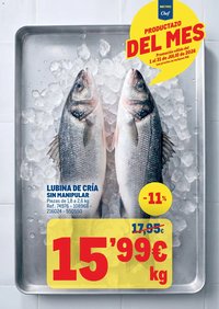 Makro Productazos del mes