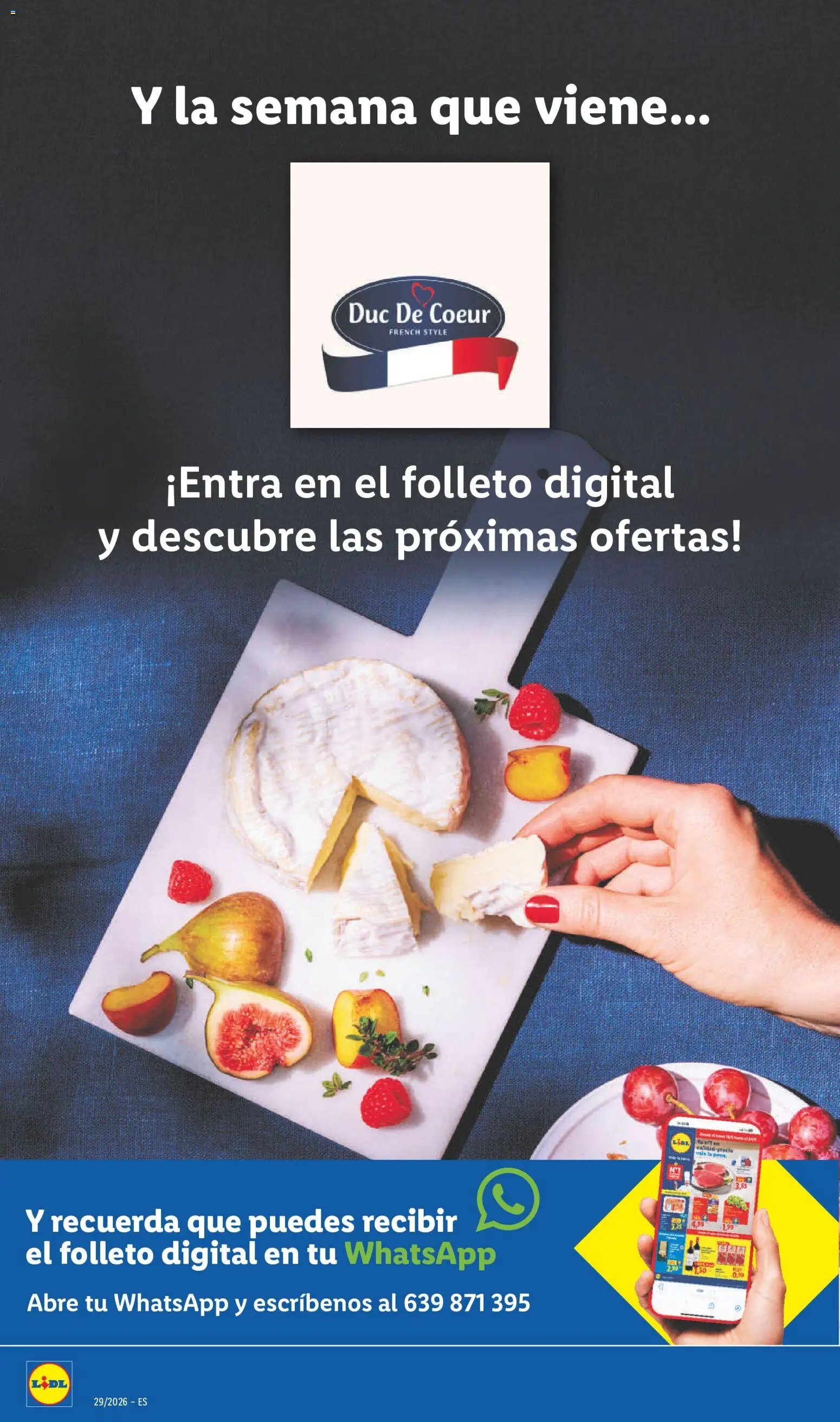 Lidl folleto de bazar