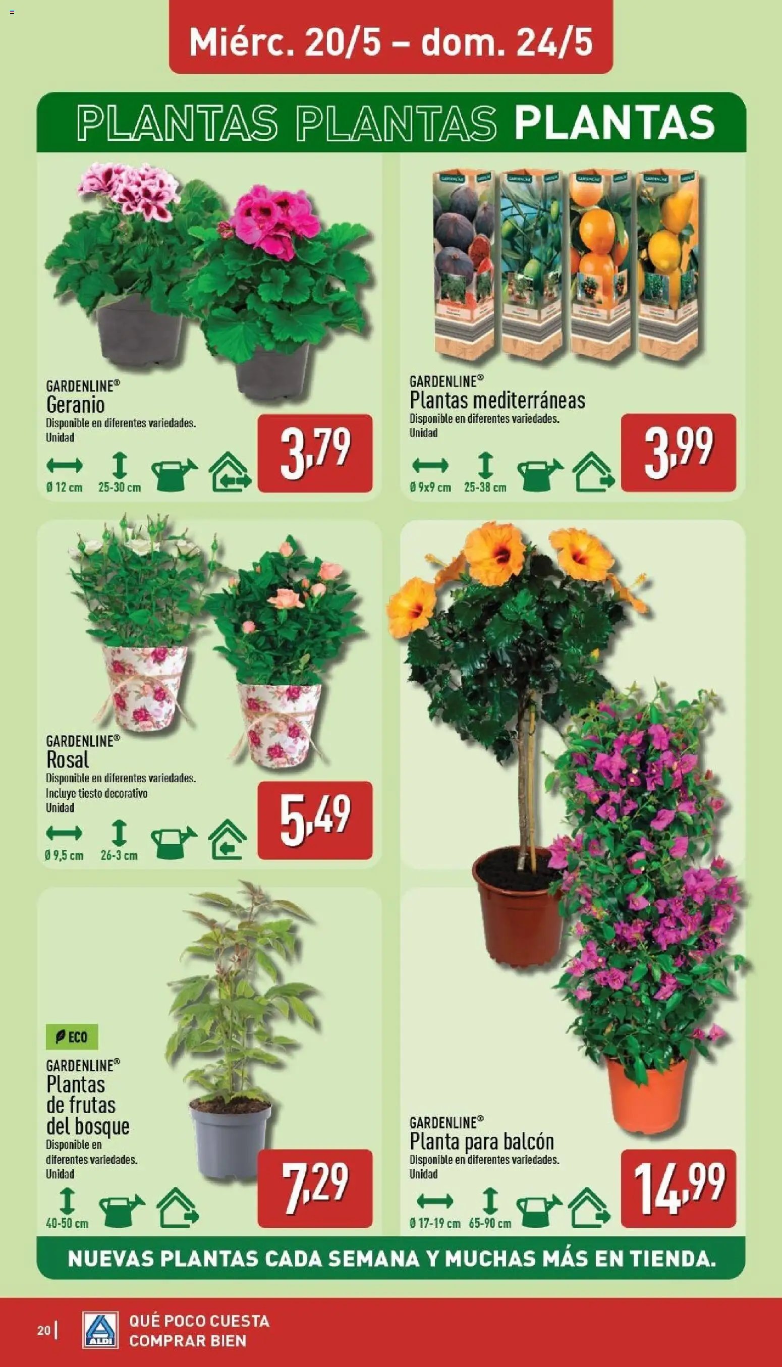 Aldi folleto Baleares