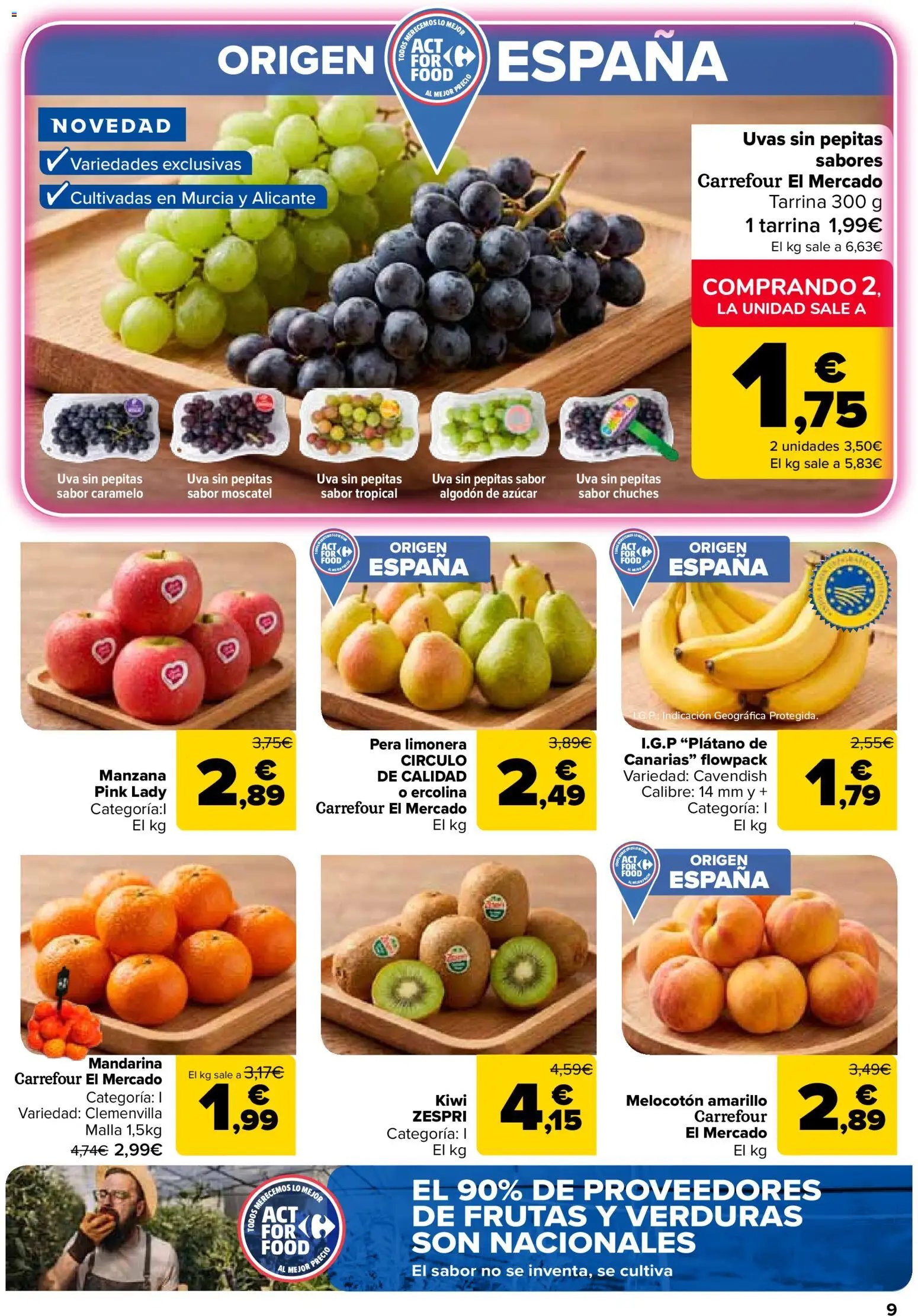 Carrefour folleto