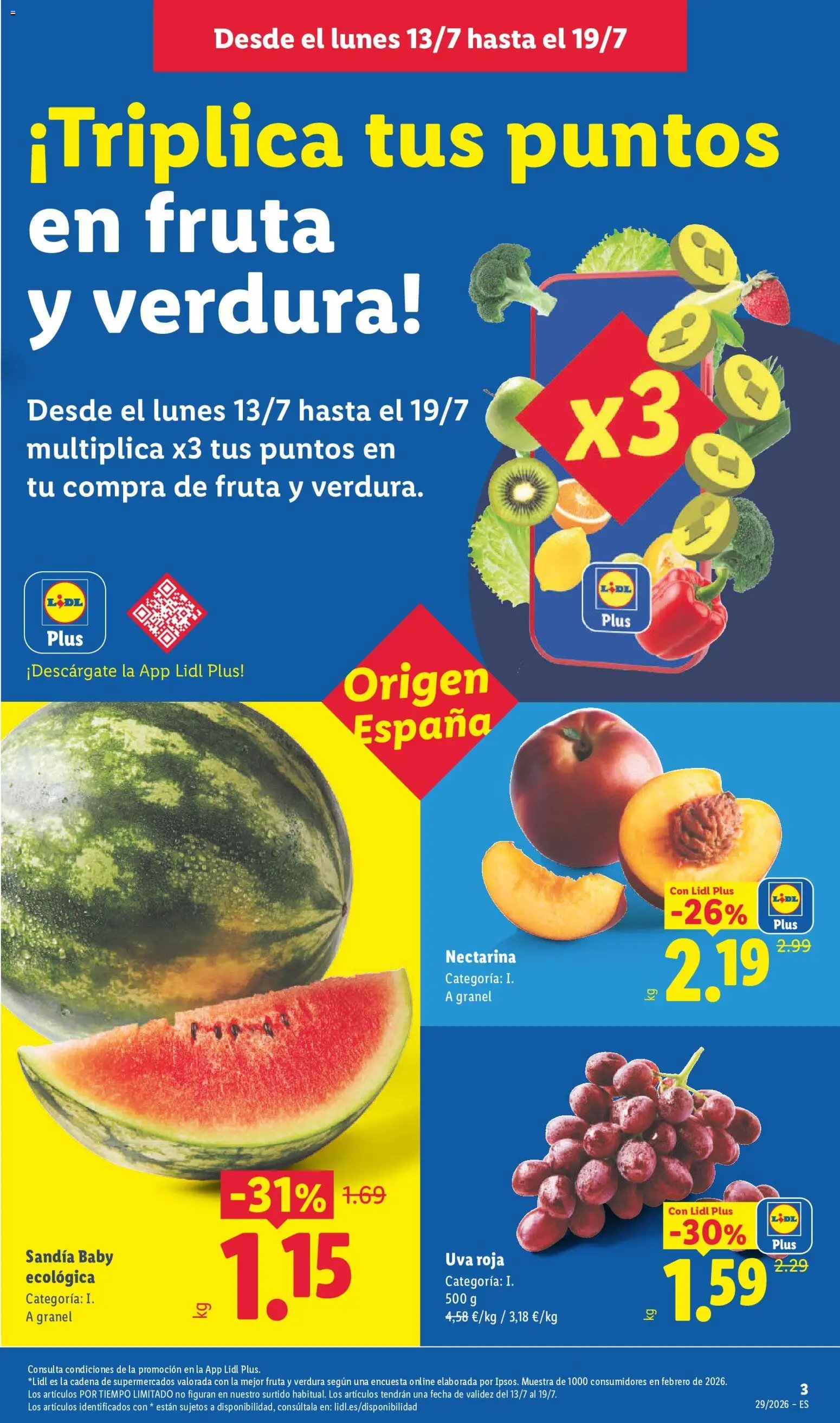 Lidl folleto