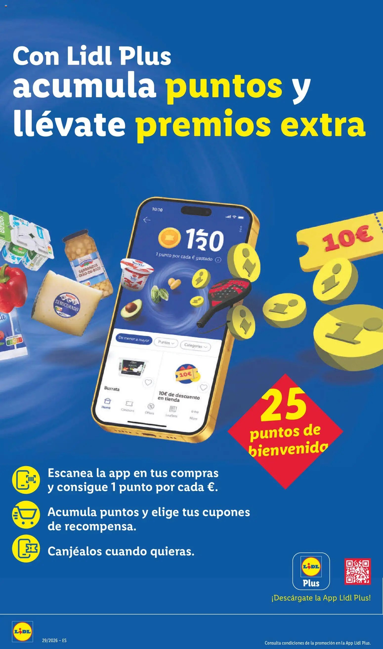 Lidl folleto