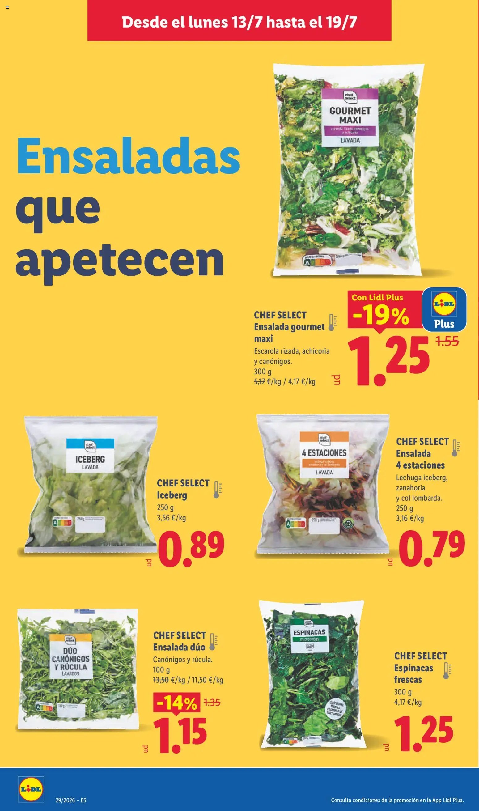 Lidl folleto