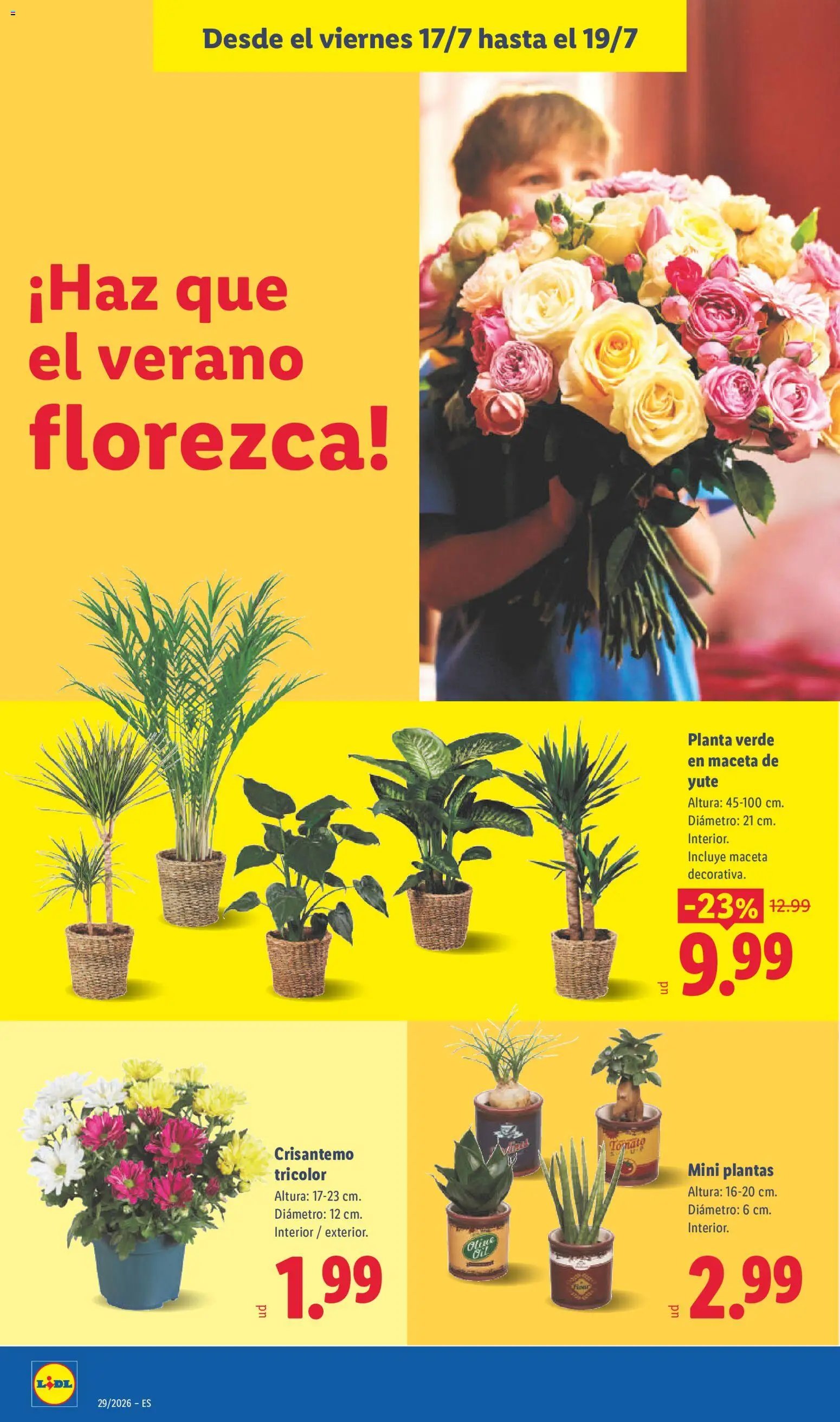 Lidl folleto