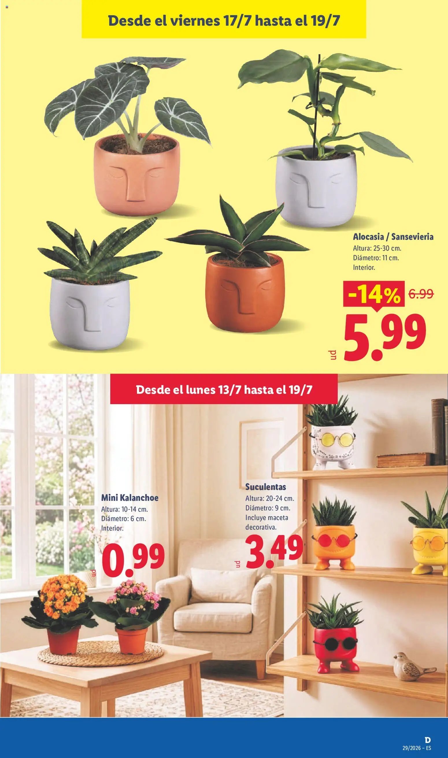 Lidl folleto