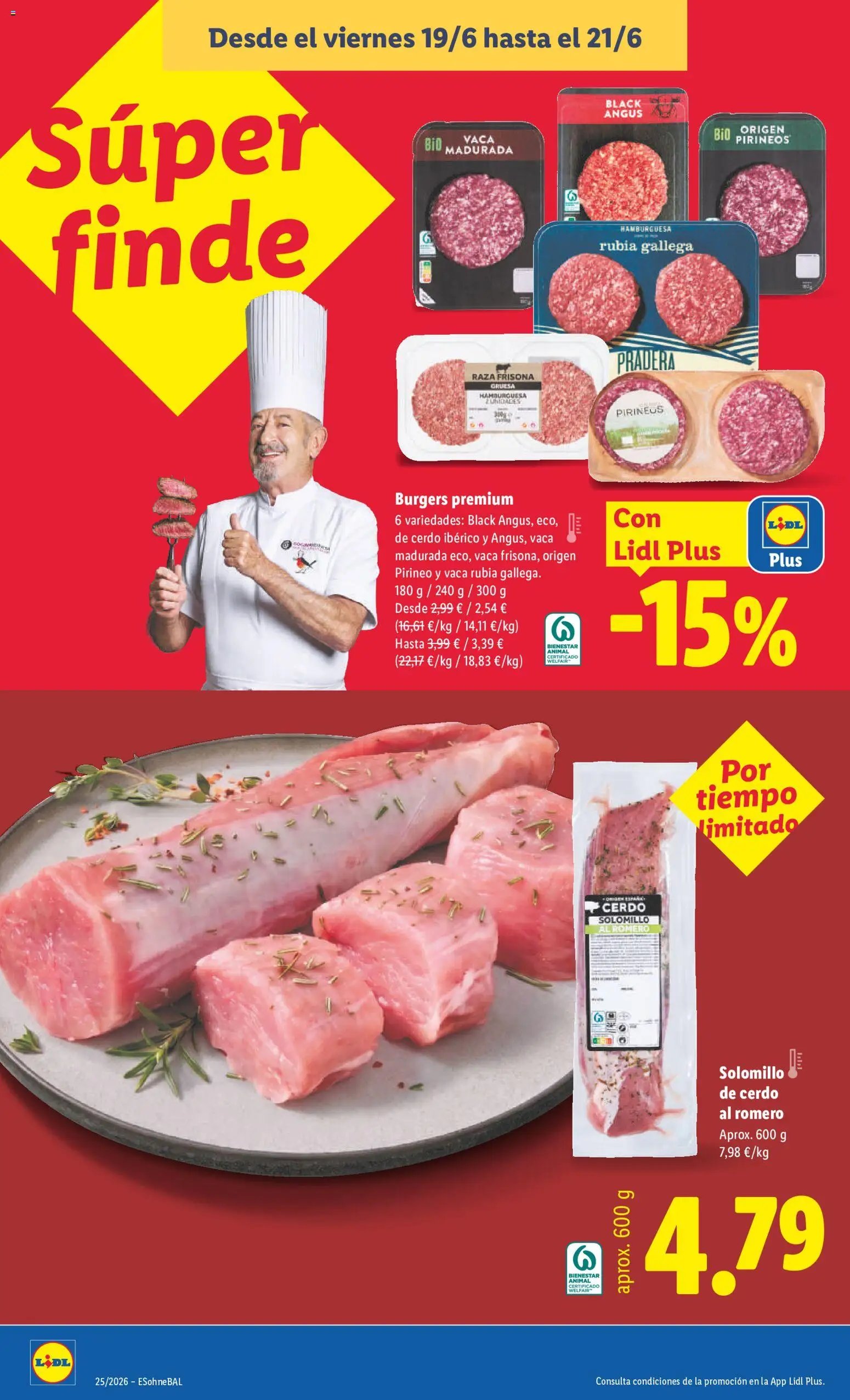 Lidl folleto