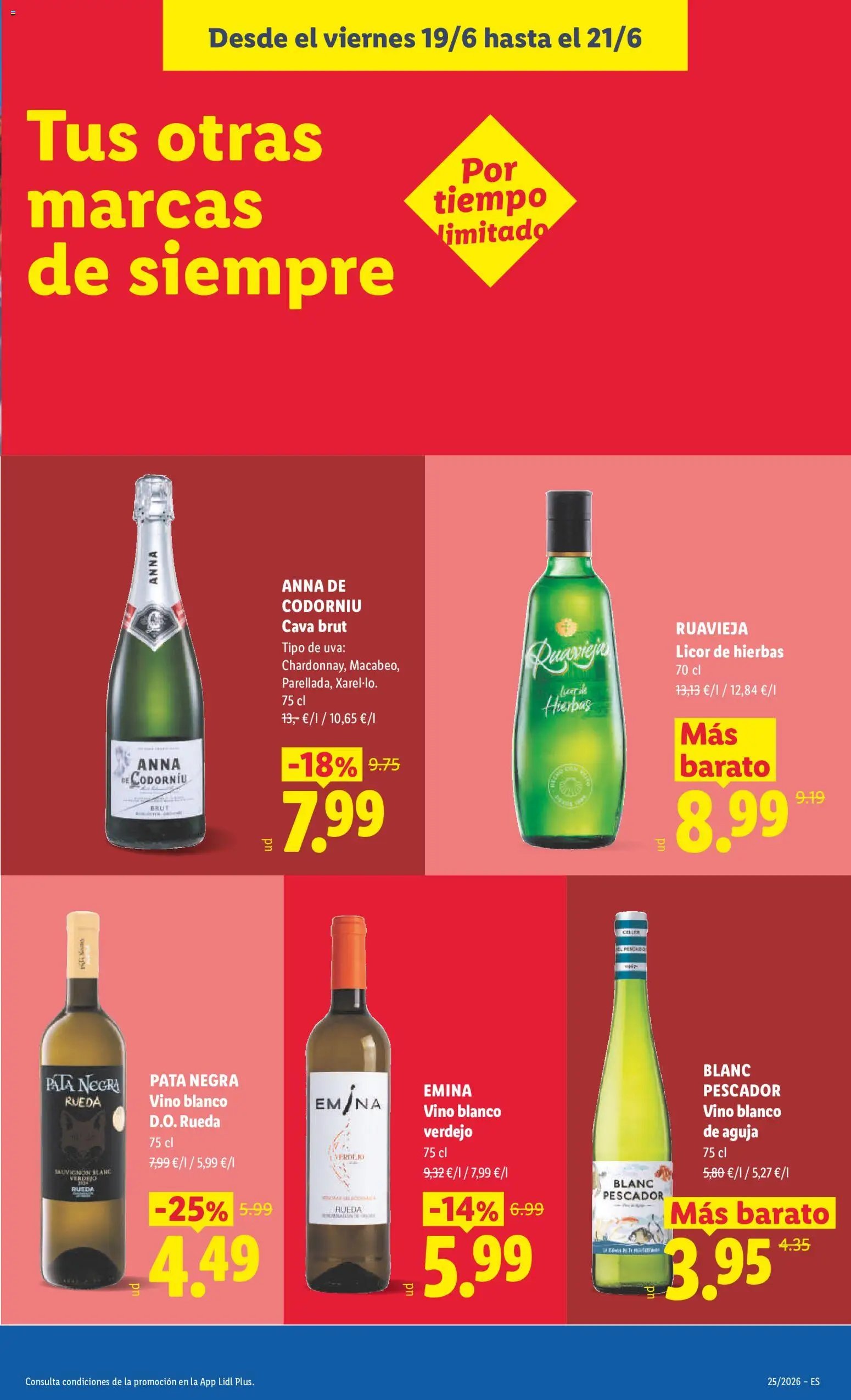 Lidl folleto