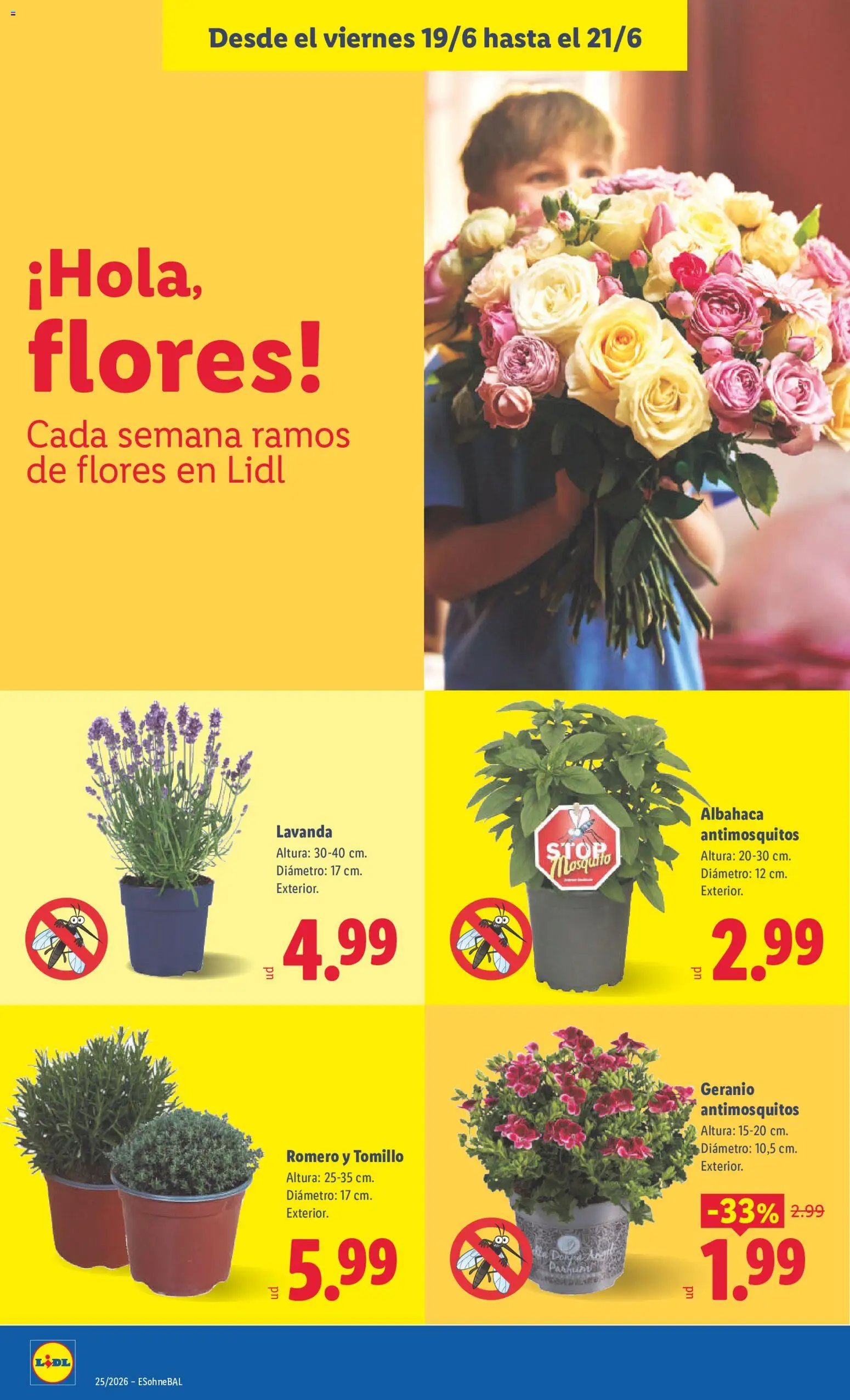 Lidl folleto