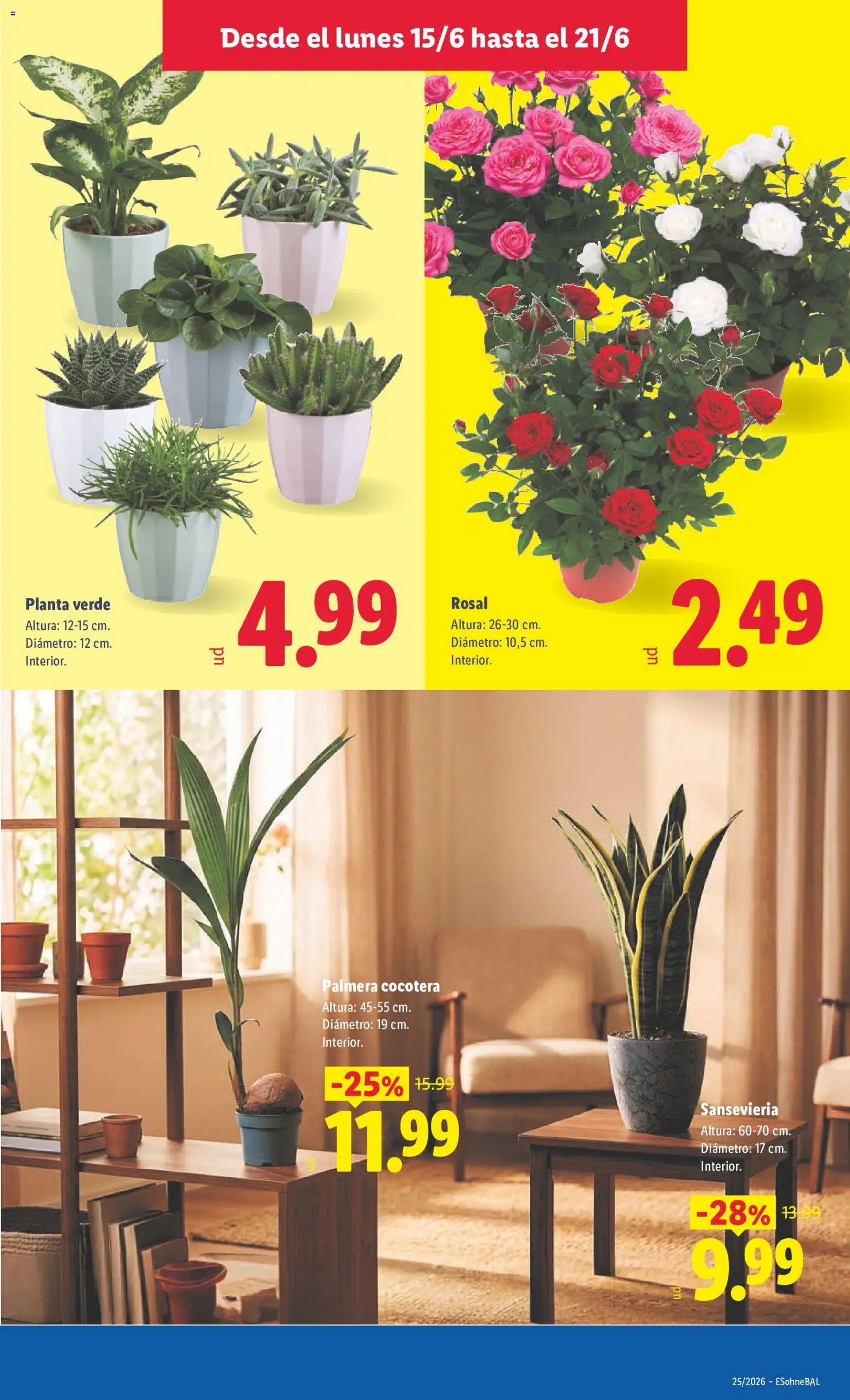 Lidl folleto