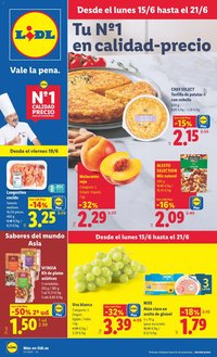Lidl folleto