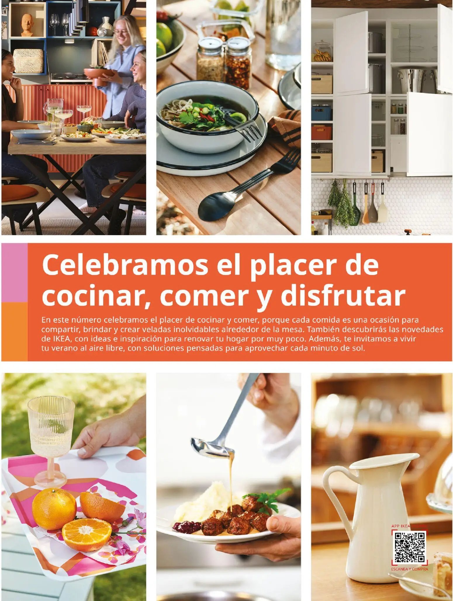 Catálogo IKEA Family