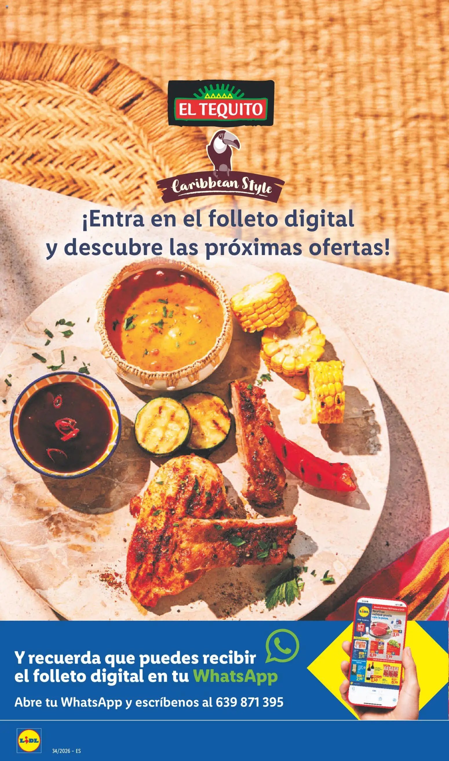 Lidl folleto de bazar
