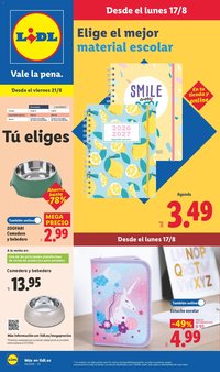 Lidl folleto de bazar