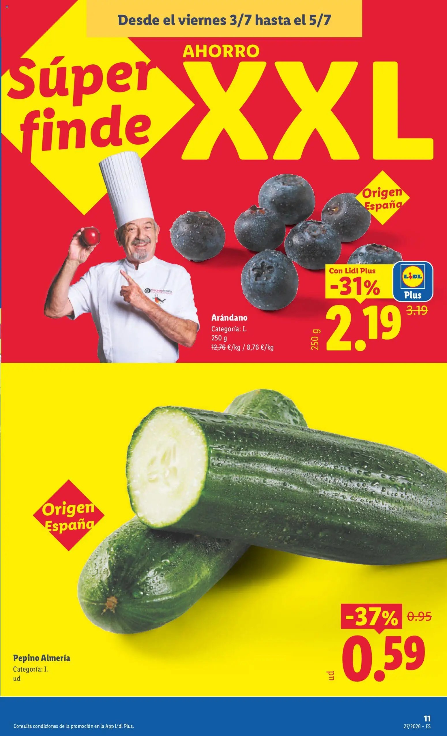 Lidl folleto