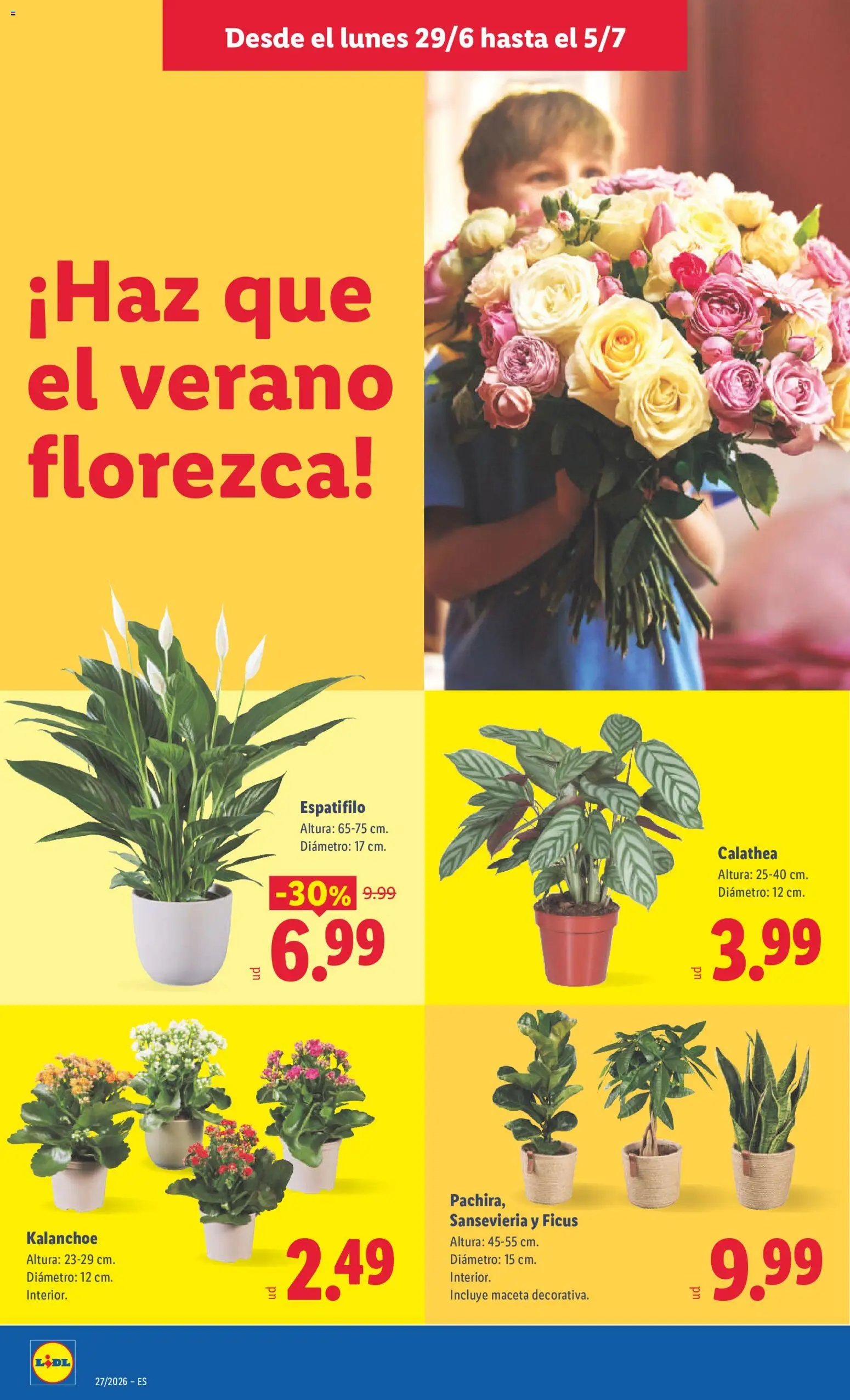 Lidl folleto