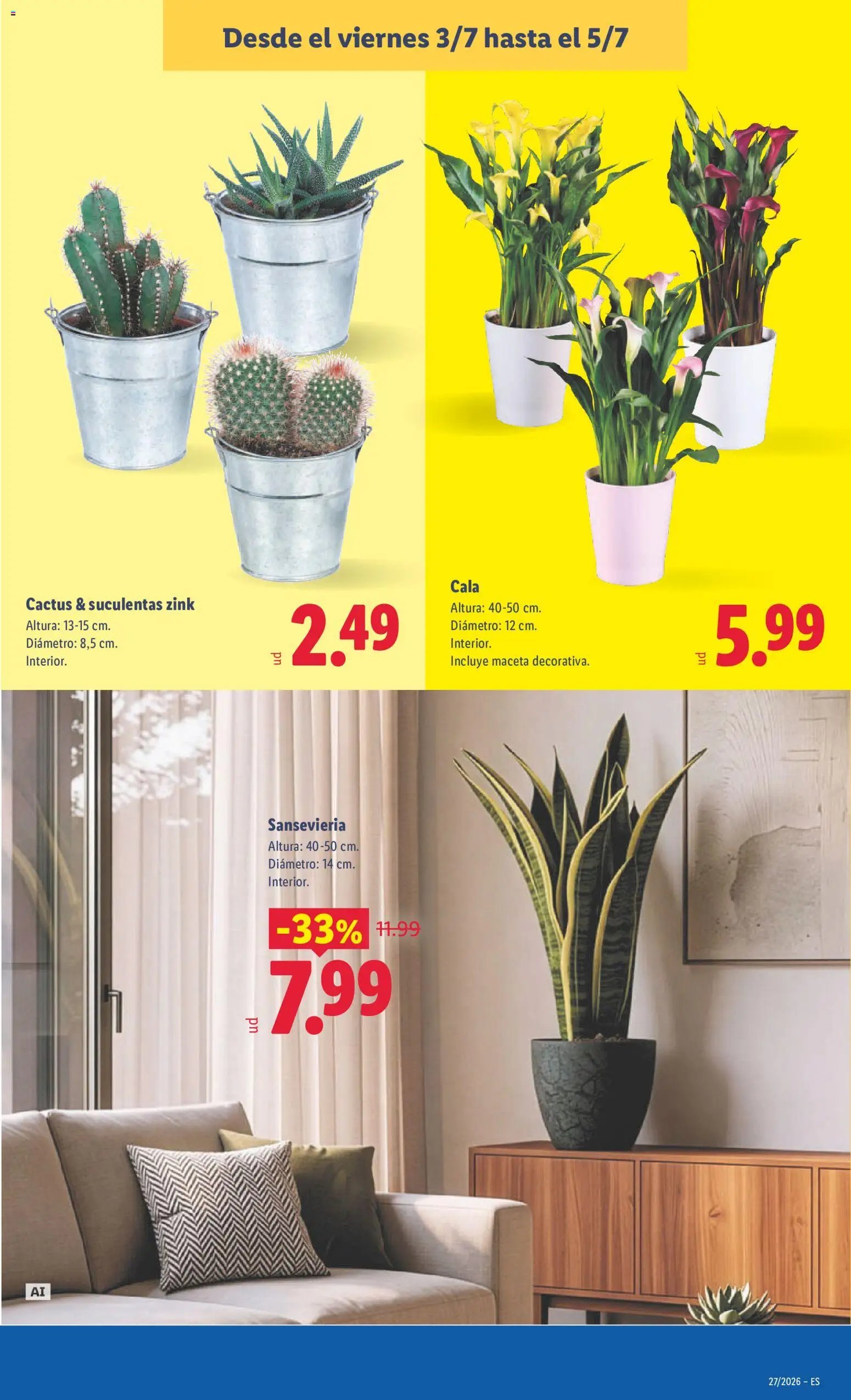 Lidl folleto