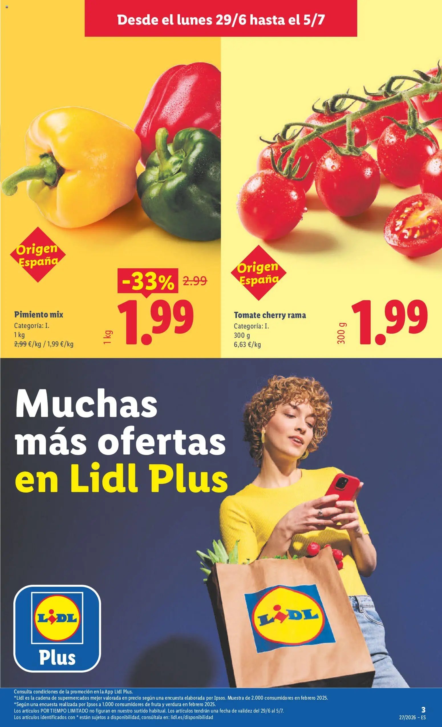 Lidl folleto
